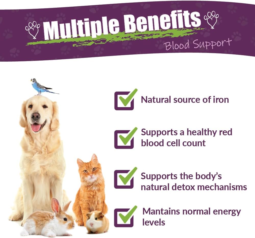 Herbal Pet Supplement for Circulation and Iron - AMBER NATURALZ Radox Blood Support Blend for Dogs, Cats, Birds, Guinea Pigs, and Rabbits - 1oz Bottle - USA Made