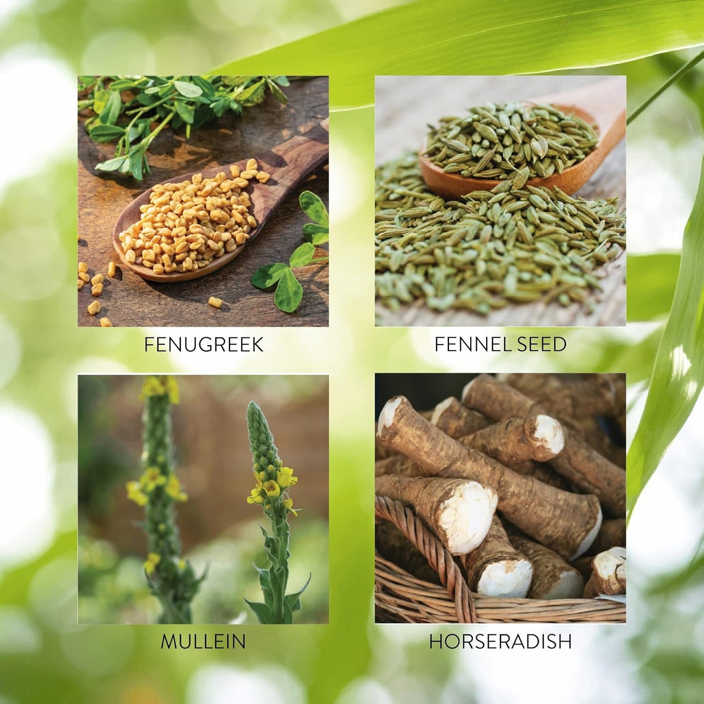 Herbal Respiratory Supplement for Seasonal Allergies - 100 Capsules by Nature's Sunshine