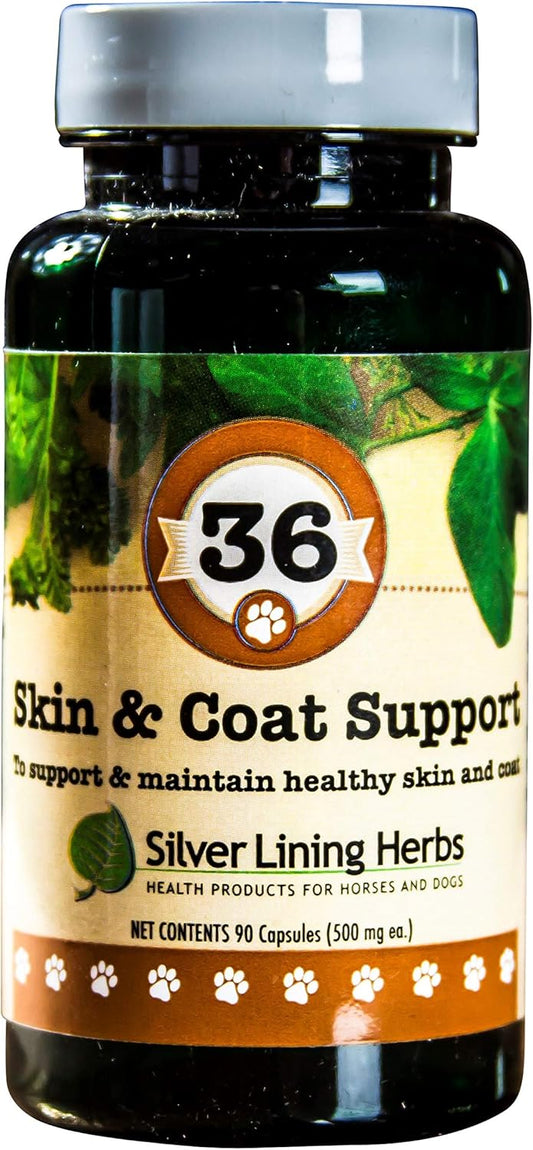 Herbal Skin & Coat Supplement for Dogs - 90 Capsules - Support Against Environmental Factors - Natural Canine Skin & Coat Fortifier