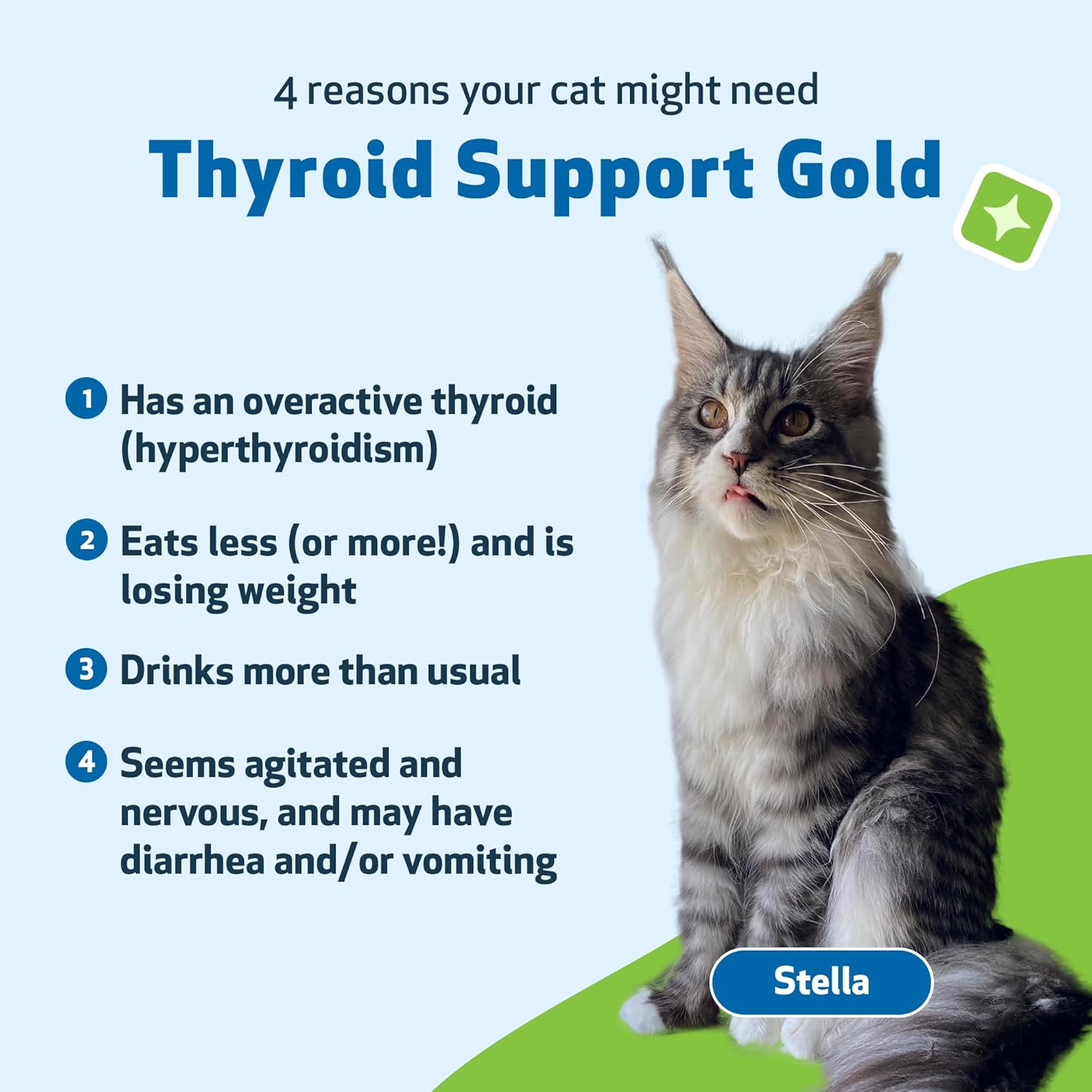 Herbal Supplement for Cats: Thyroid Support Gold - Promotes Healthy Thyroid Function, Metabolism - Bugleweed, Lemon Balm - 4 fl oz