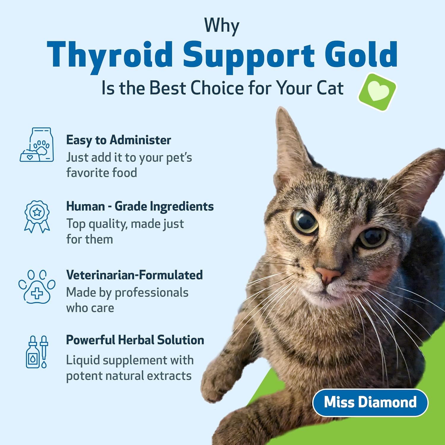 Herbal Supplement for Cats: Thyroid Support Gold - Promotes Healthy Thyroid Function, Metabolism - Bugleweed, Lemon Balm - 4 fl oz
