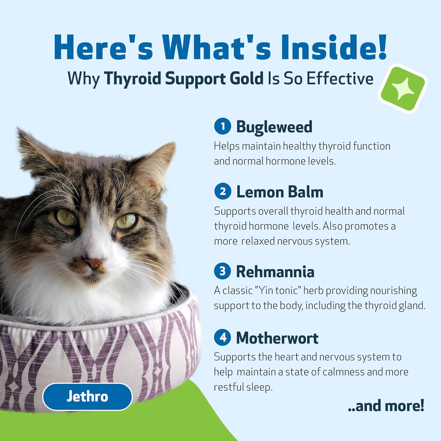 Herbal Supplement for Cats: Thyroid Support Gold - Promotes Healthy Thyroid Function, Metabolism - Bugleweed, Lemon Balm - 4 fl oz