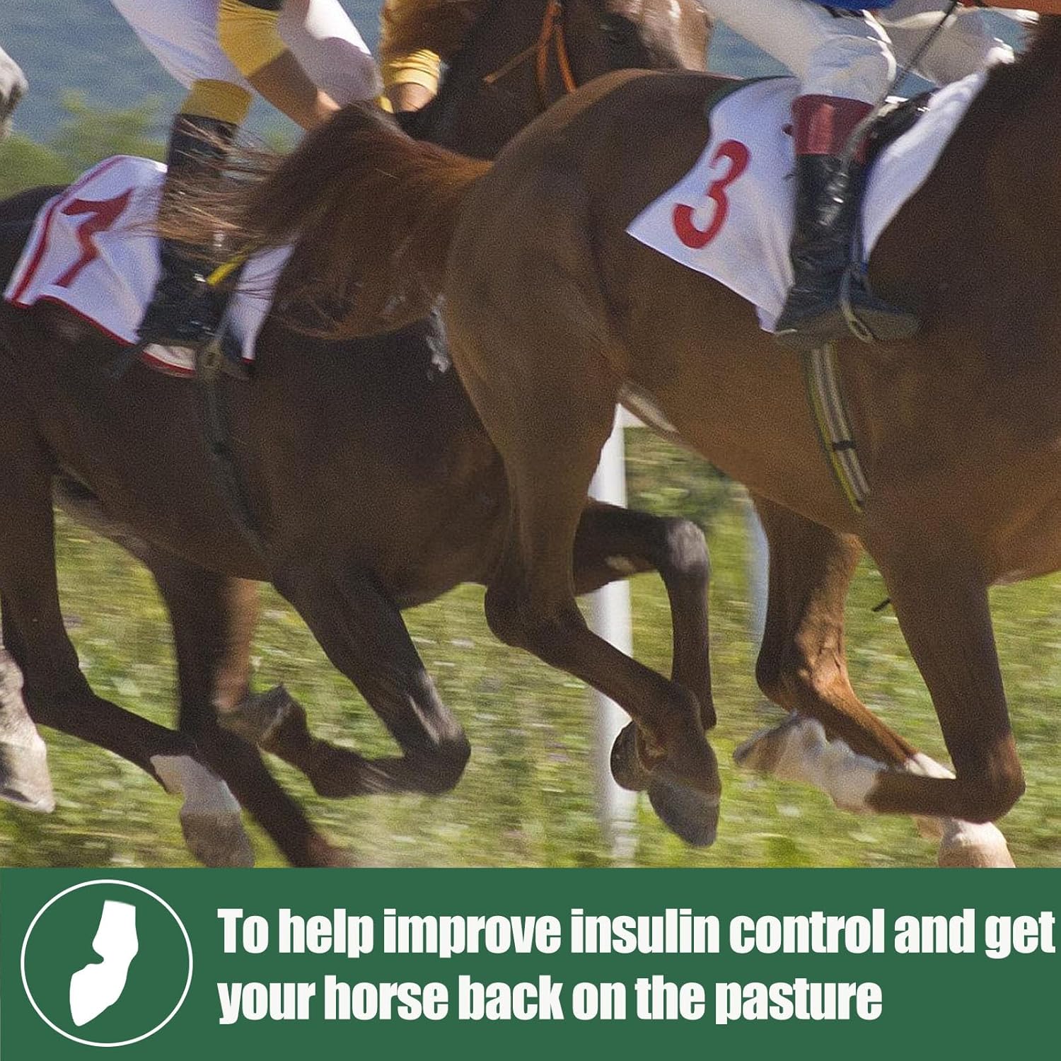 Herbal Supplement for Horses with Insulin Resistance, Laminitis, Cushing's Syndrome, and Metabolic Enhancement, 0.44 lbs