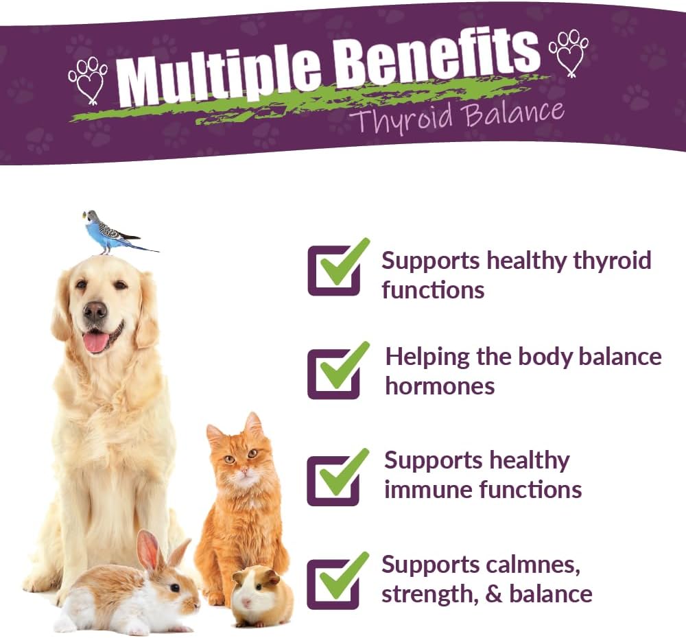 Herbal Supplement for Thyroid Health in Pets | Amber NaturalZ TYD Thyroid Balance | 1oz Glass Bottle | Made in USA