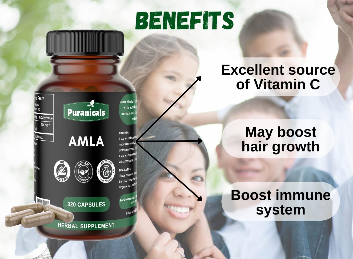 Herbal Supplement: Puranicals Amla Premium Capsules for Immunity, Skin & Hair Health - 900mg Per Serving
