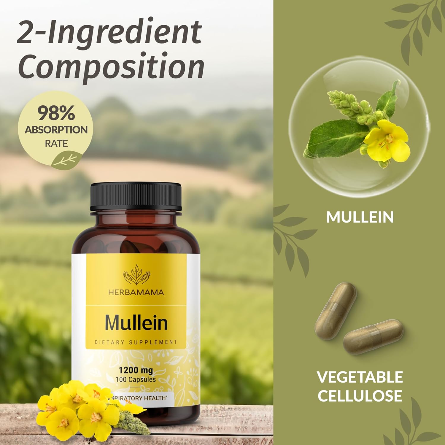 HERBAMAMA Boswellia Turmeric and Mullein Leaf Capsules Bundle - 2100mg Boswellia Turmeric & 1200mg Mullein Leaf Capsules - Vegan, Non GMO, Gelatin-Free - 2 Pack