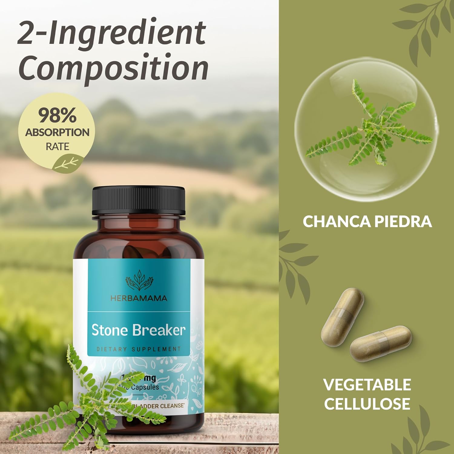 HERBAMAMA Chanca Piedra Stone Breaker Capsules - 1200mg for Kidney Stones & Gallbladder Cleanse - Vegan, Non-GMO Kidney Support Supplement - 100 Capsules