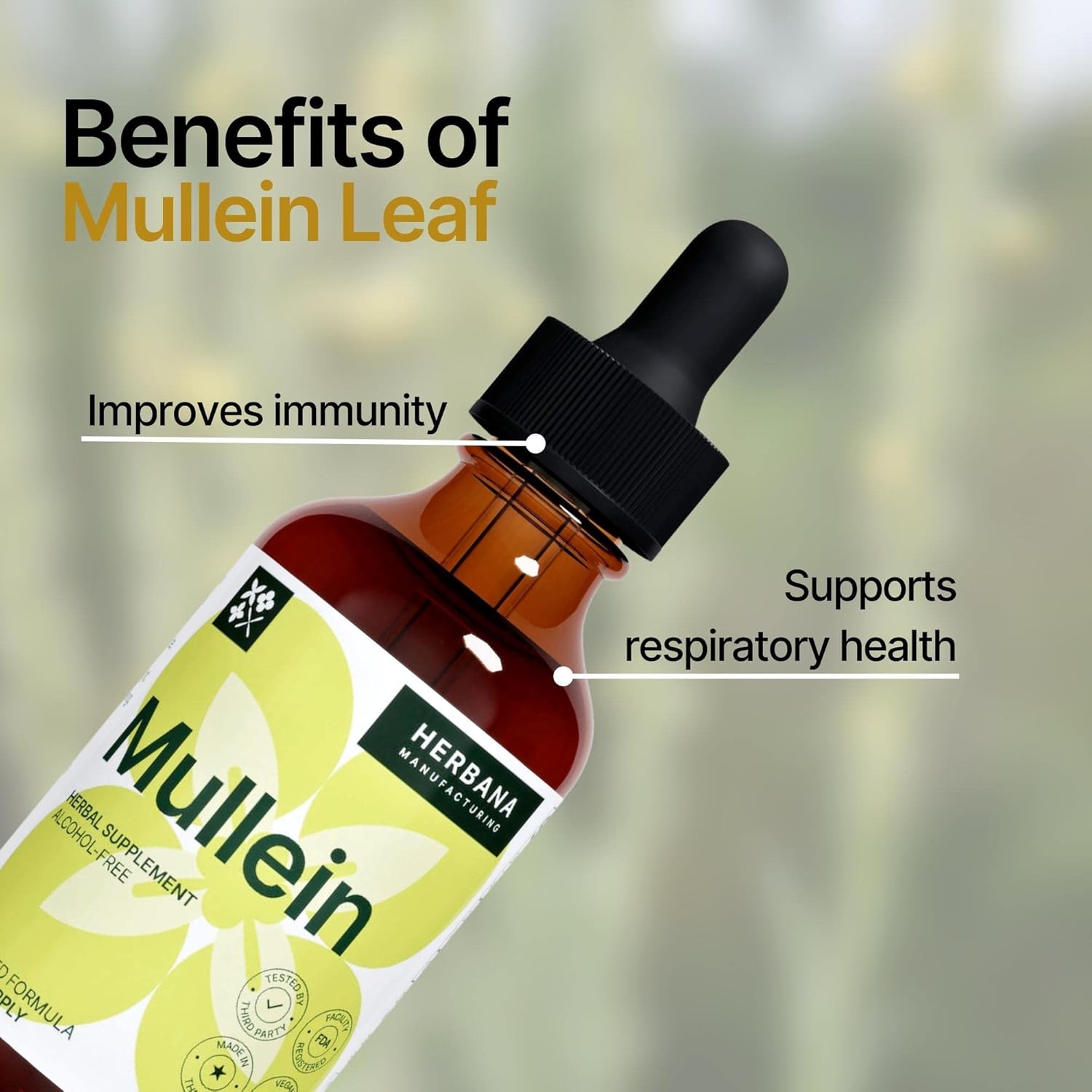 Herbana Manufacturing Mullein Leaf Liquid Extract - Natural Lung Cleanse & Detox Supplement - Respiratory Health and Immune Support Tincture - High Potency Drops - 45-Day Supply