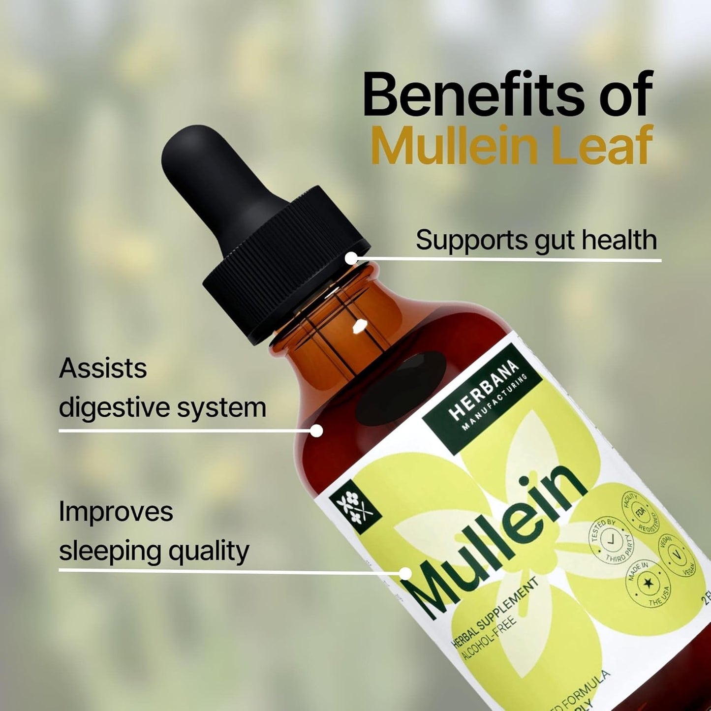 Herbana Manufacturing Mullein Leaf Liquid Extract - Natural Lung Cleanse & Detox Supplement - Respiratory Health and Immune Support Tincture - High Potency Drops - 45-Day Supply