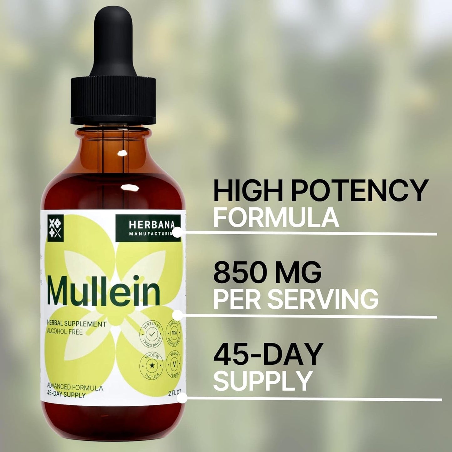 Herbana Manufacturing Mullein Leaf Liquid Extract - Natural Lung Cleanse & Detox Supplement - Respiratory Health and Immune Support Tincture - High Potency Drops - 45-Day Supply