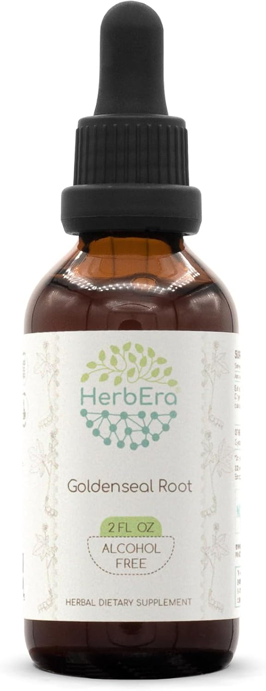 HerbEra Goldenseal Root Alcohol-Free Extract Tincture - Super-Concentrated Hydrastis Canadensis - 2 fl oz