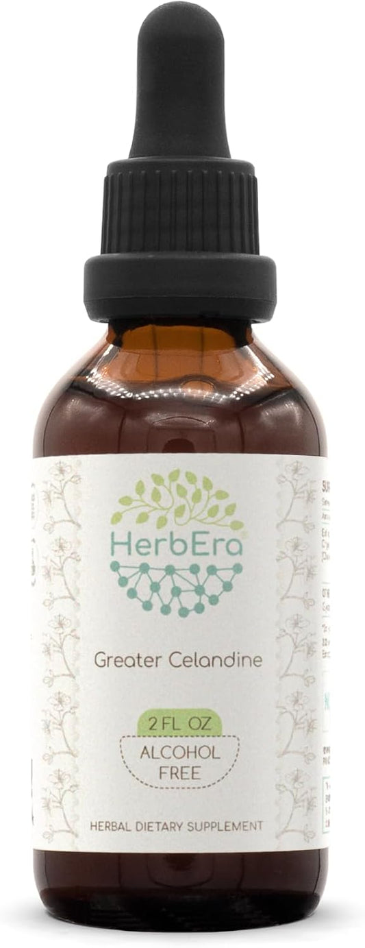 HerbEra Greater Celandine Alcohol-Free Liquid Extract Tincture - 2 oz Bottle
