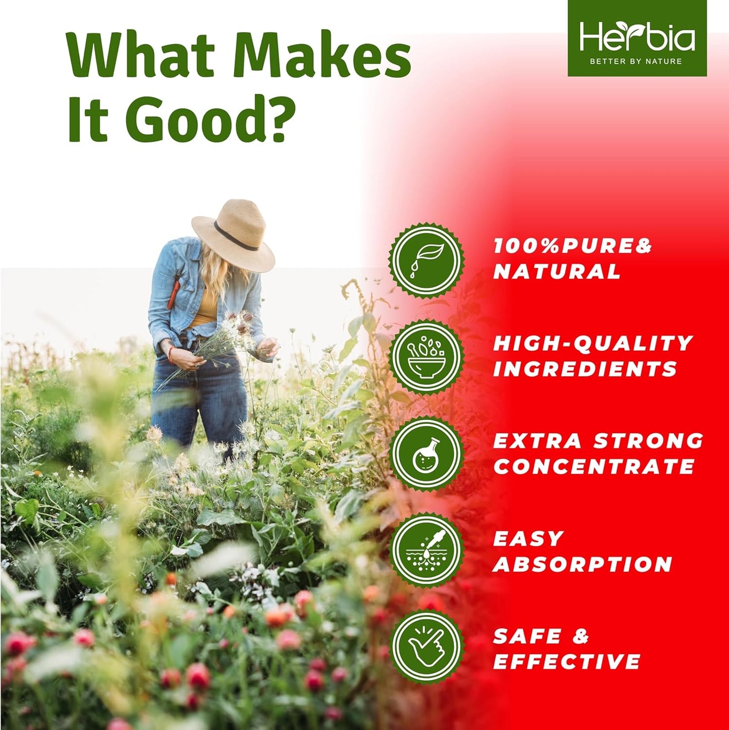 HERBIA Echinacea Immunity Blend - 3X Strength Organic Concentrated Extract for Immune Support (2 fl oz)