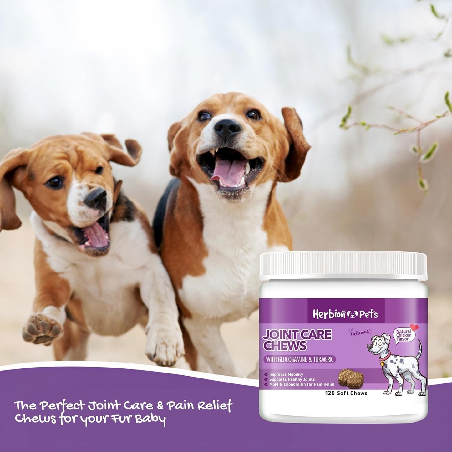 Herbion Naturals Joint Care Chews for Dogs - 120 Soft Chews with Glucosamine, Turmeric, MSM, and Chondroitin - Pain Relief and Improved Mobility - Made in USA