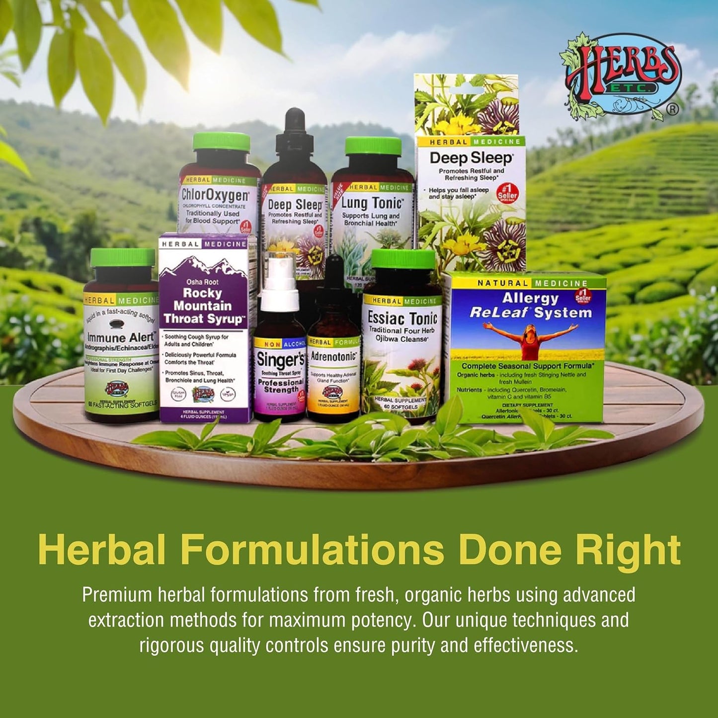 Herbs Etc. ChlorOxygen Chlorophyll Concentrate - Boost Energy & Blood Circulation - Natural Vitality Support - Alcohol-Free - 2 fl oz