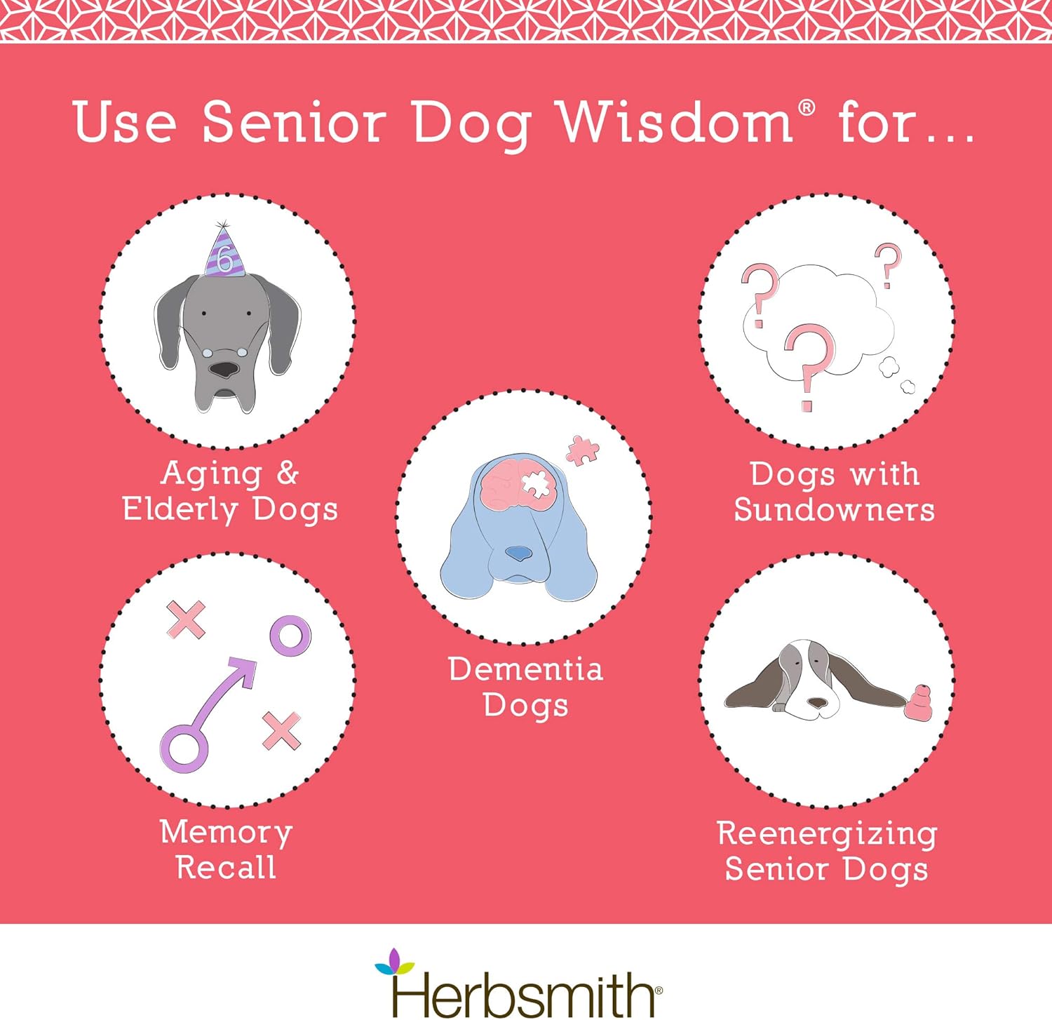 Herbsmith Senior Dog Wisdom DHA Supplement for Dog Dementia & Brain Health - 60ct Large Chews