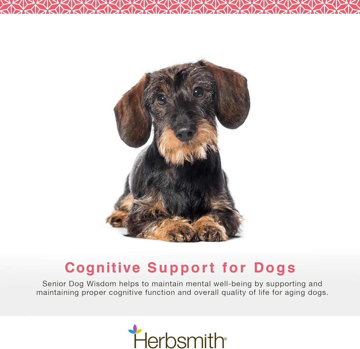 Herbsmith Senior Dog Wisdom DHA Supplement for Dog Dementia & Brain Health - 60ct Large Chews