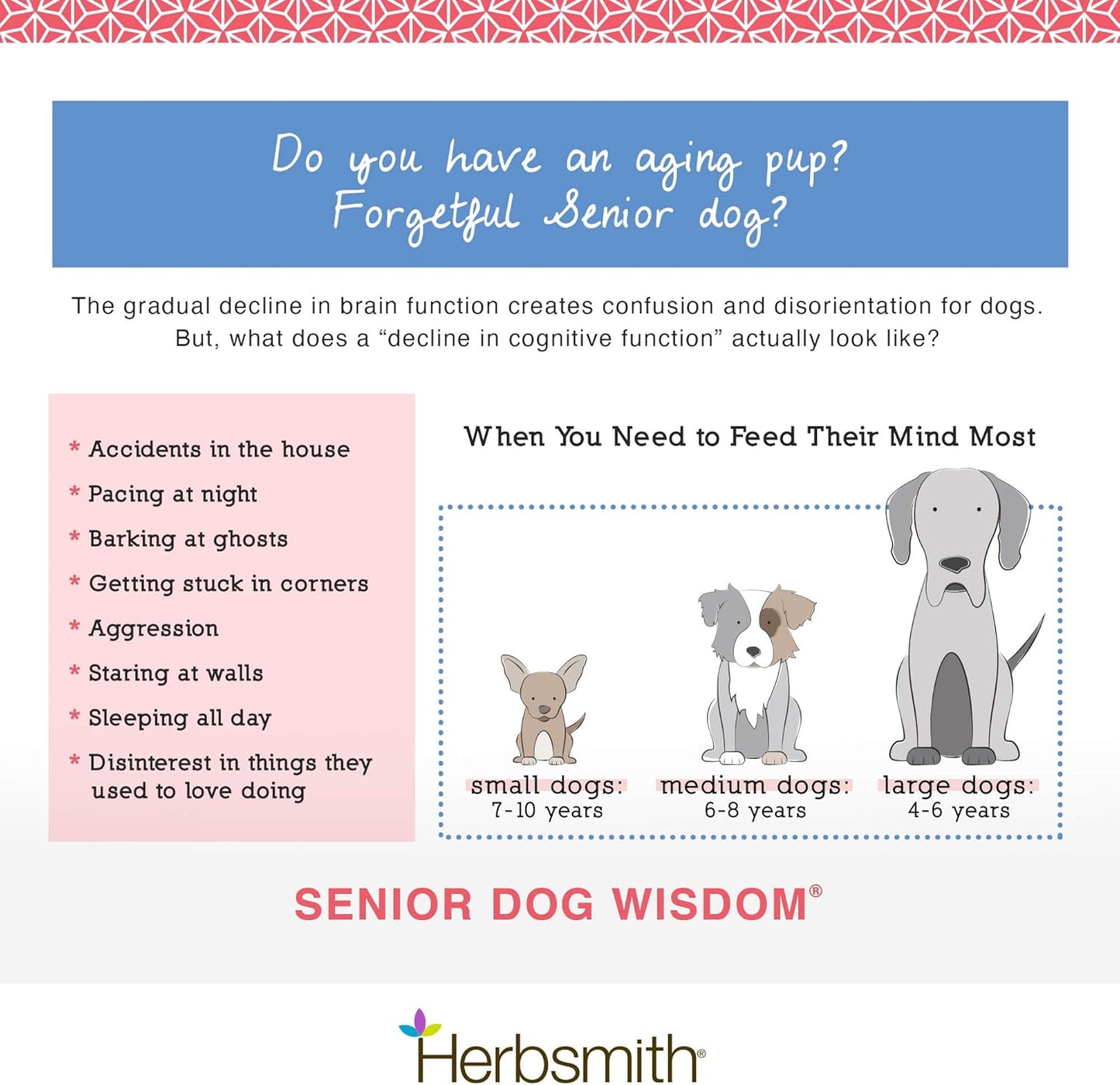 Herbsmith Senior Dog Wisdom DHA Supplement for Dog Dementia & Brain Health - 60ct Large Chews