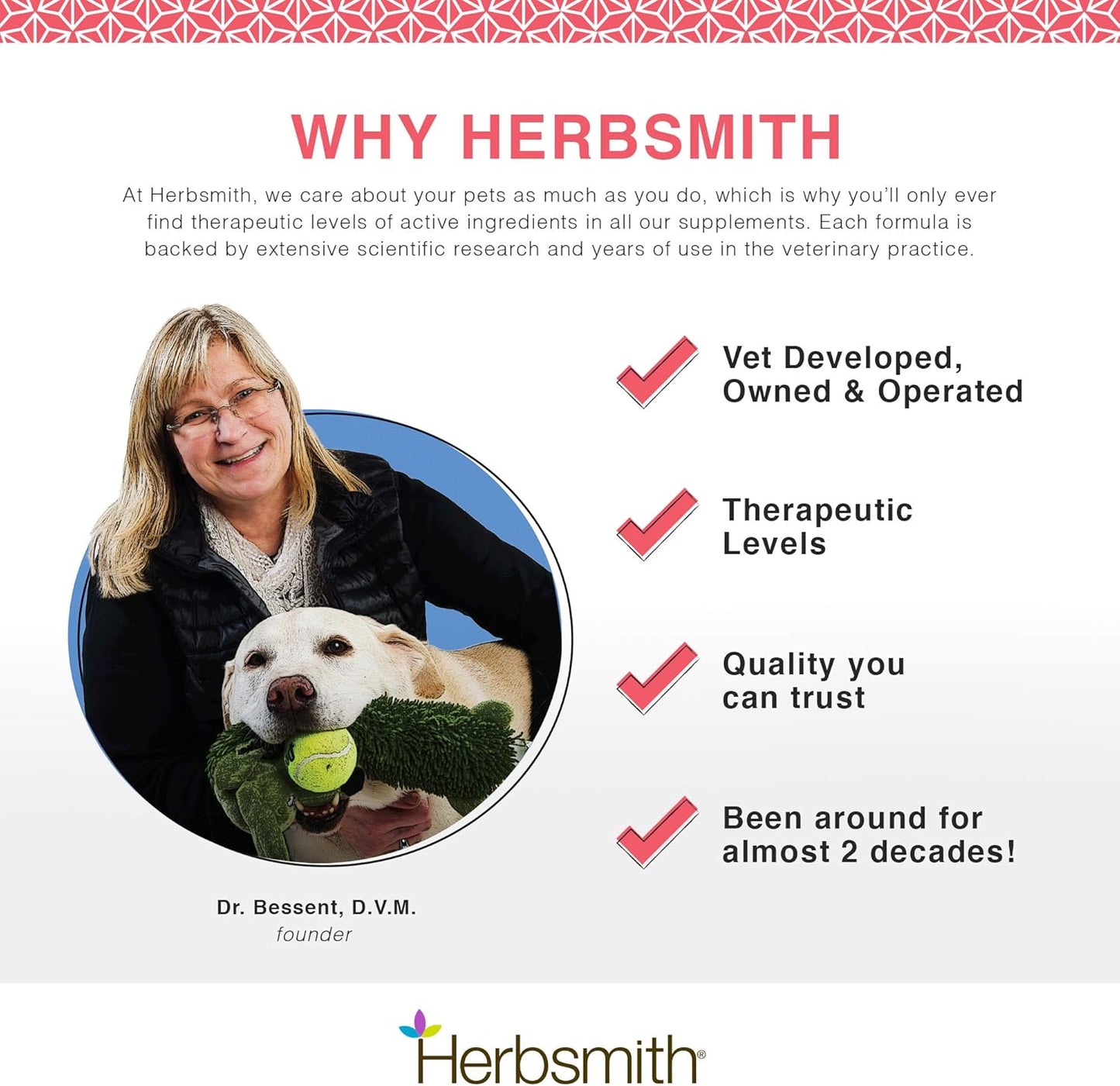 Herbsmith Senior Dog Wisdom DHA Supplement for Dog Dementia & Brain Health - 60ct Large Chews