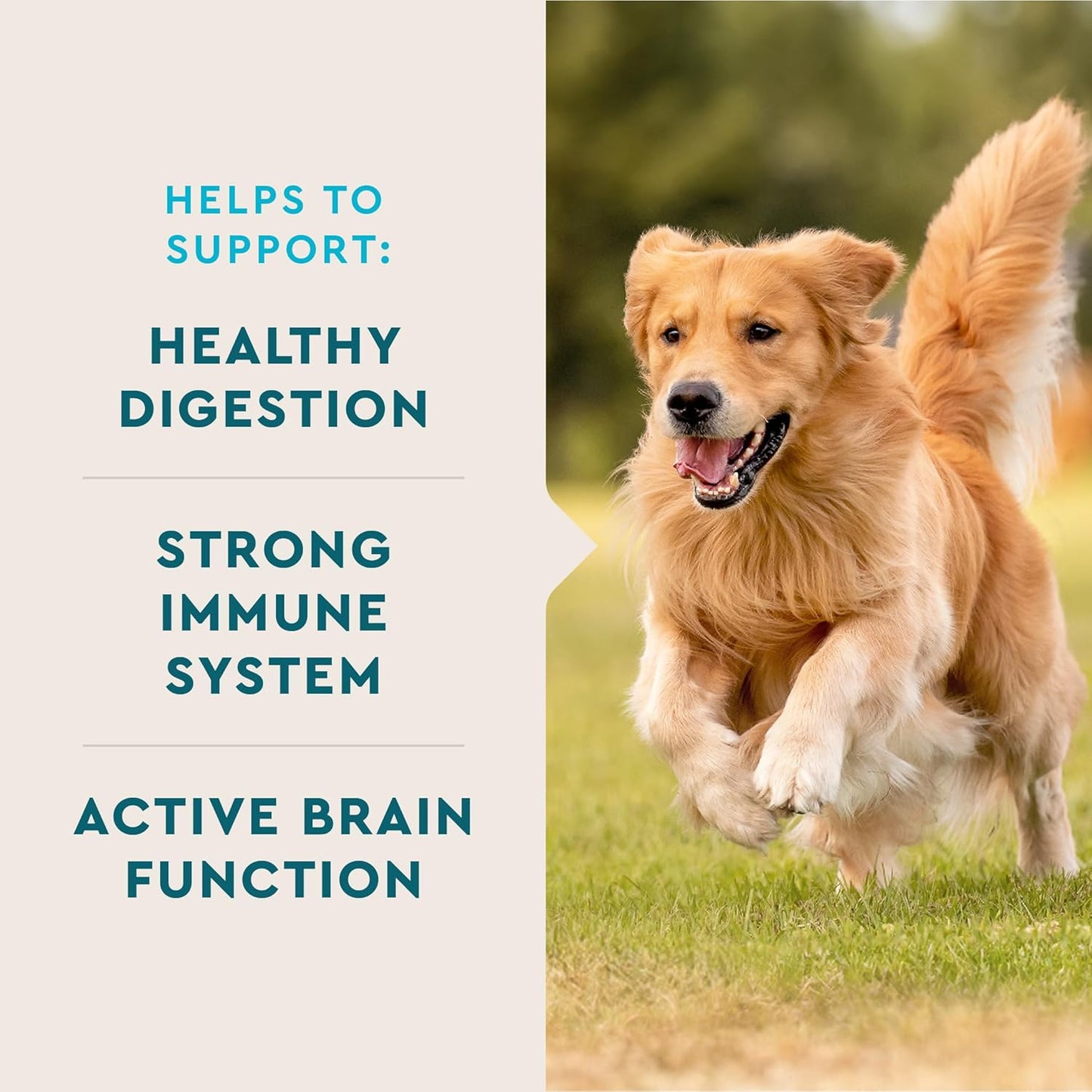 Hickory Smoke Flavored Dog Multivitamin with Active Brain and Immune Support, 60 Count, Made in USA