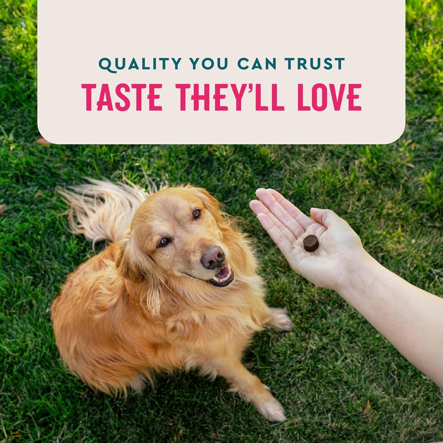 Hickory Smoke Flavored Dog Multivitamin with Active Brain and Immune Support, 60 Count, Made in USA