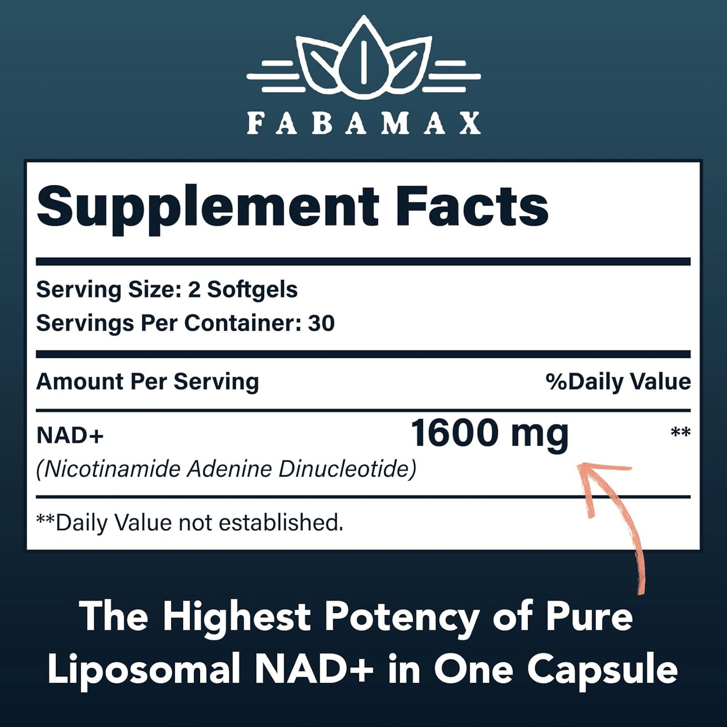 High Absorption 1600 mg Liposomal NAD Supplement - 98% Pure NAD+ for Aging Defense & Energy - Alternative to NADH - 360 Softgels