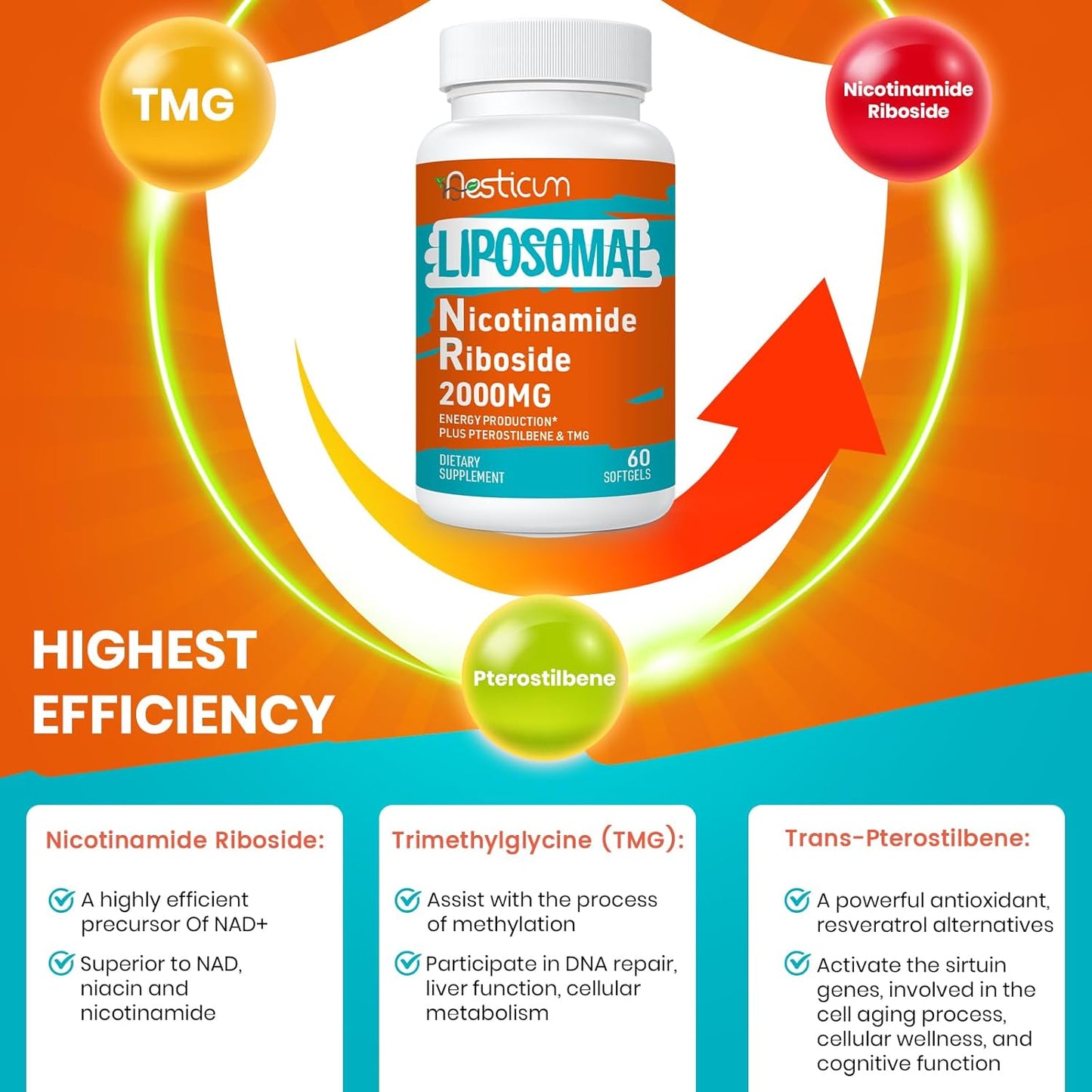 High Absorption 2000 MG Liposomal Nicotinamide Riboside Supplement with TMG and Pterostilbene - NAD+ Boosting, Cellular Energy, Age Resist - 60 Softgels