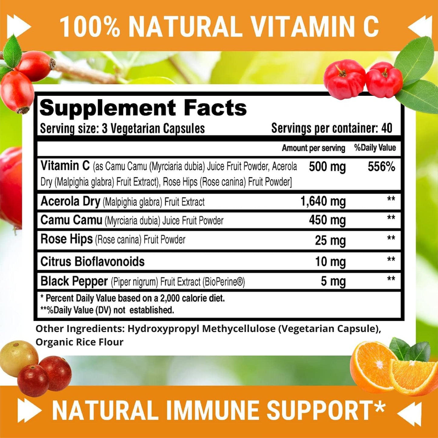 High Absorption 500mg Natural Vitamin C with Rose HIPS, Acerola Cherry, and Camu Camu - Immune Support, Skin, Joint, and Collagen Booster - 120 Capsules