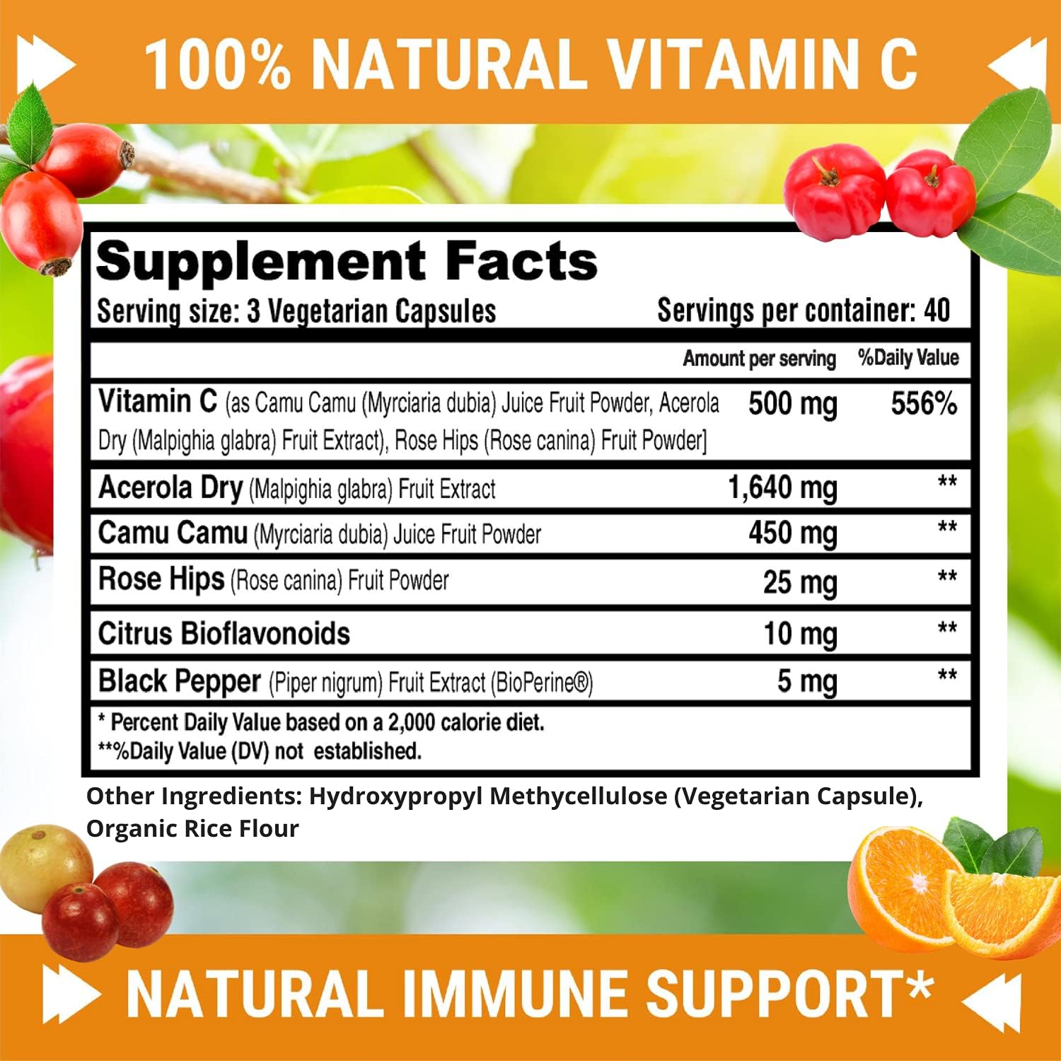 High Absorption 500mg Natural Vitamin C with Rose HIPS, Acerola Cherry, and Camu Camu - Immune Support, Skin, Joint, and Collagen Booster - 120 Capsules
