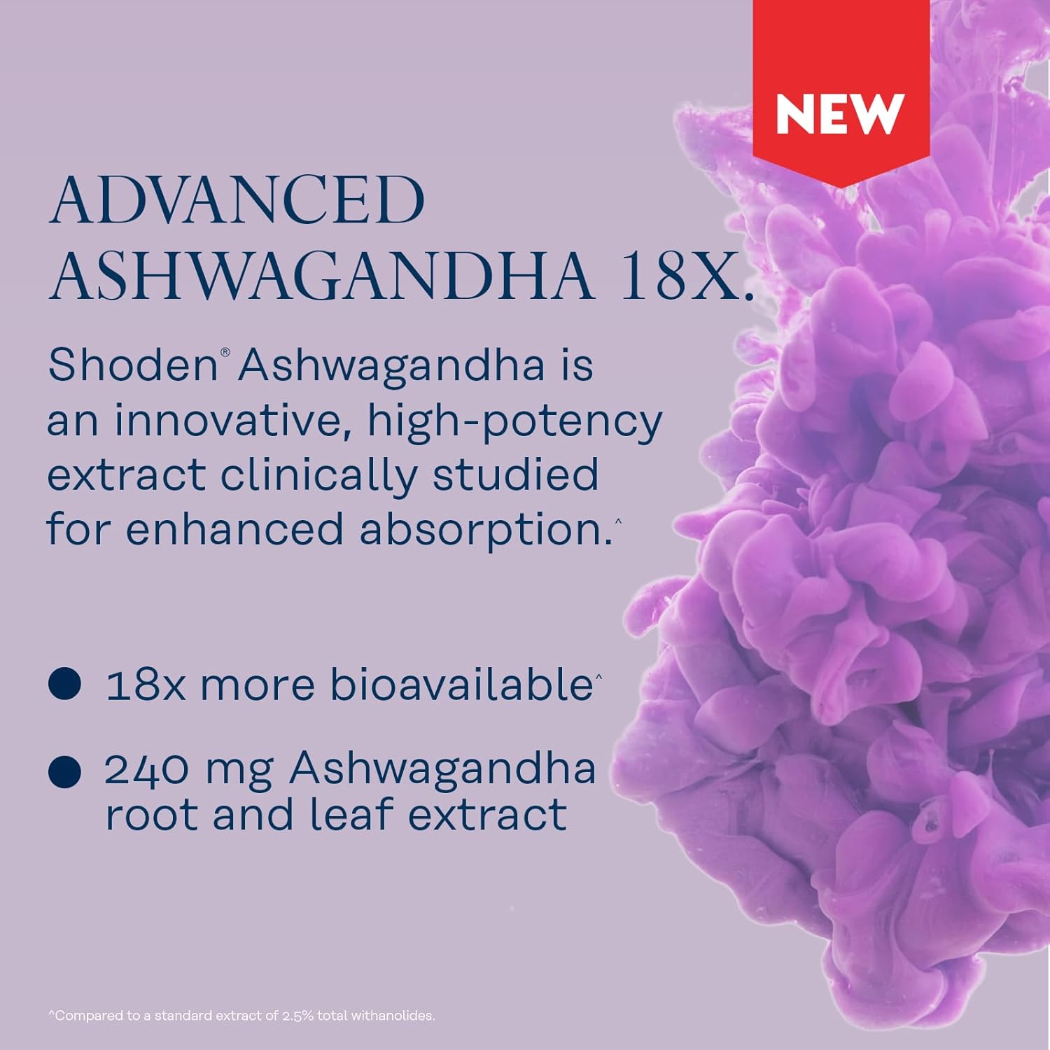 High Absorption Ashwagandha Capsules 240mg for Stress Relief and Mood Support - Vegan Supplement with 30 VegCaps - 60 Day Guarantee