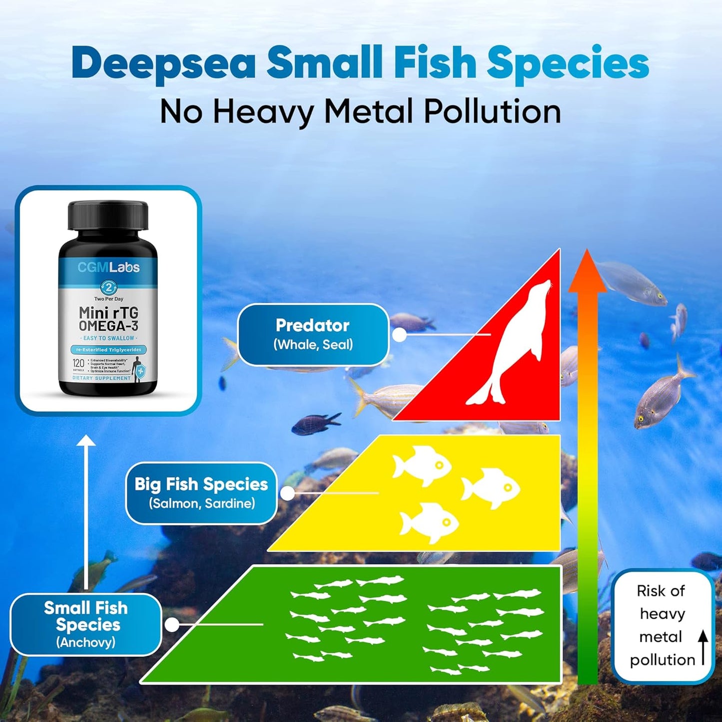 High Absorption CGMLABS rTG Omega 3 Fish Oil Supplement - Burpless, Fast-Acting Anchovy Oil with 960mg EPA & DHA (as rTG) - 120 Softgels