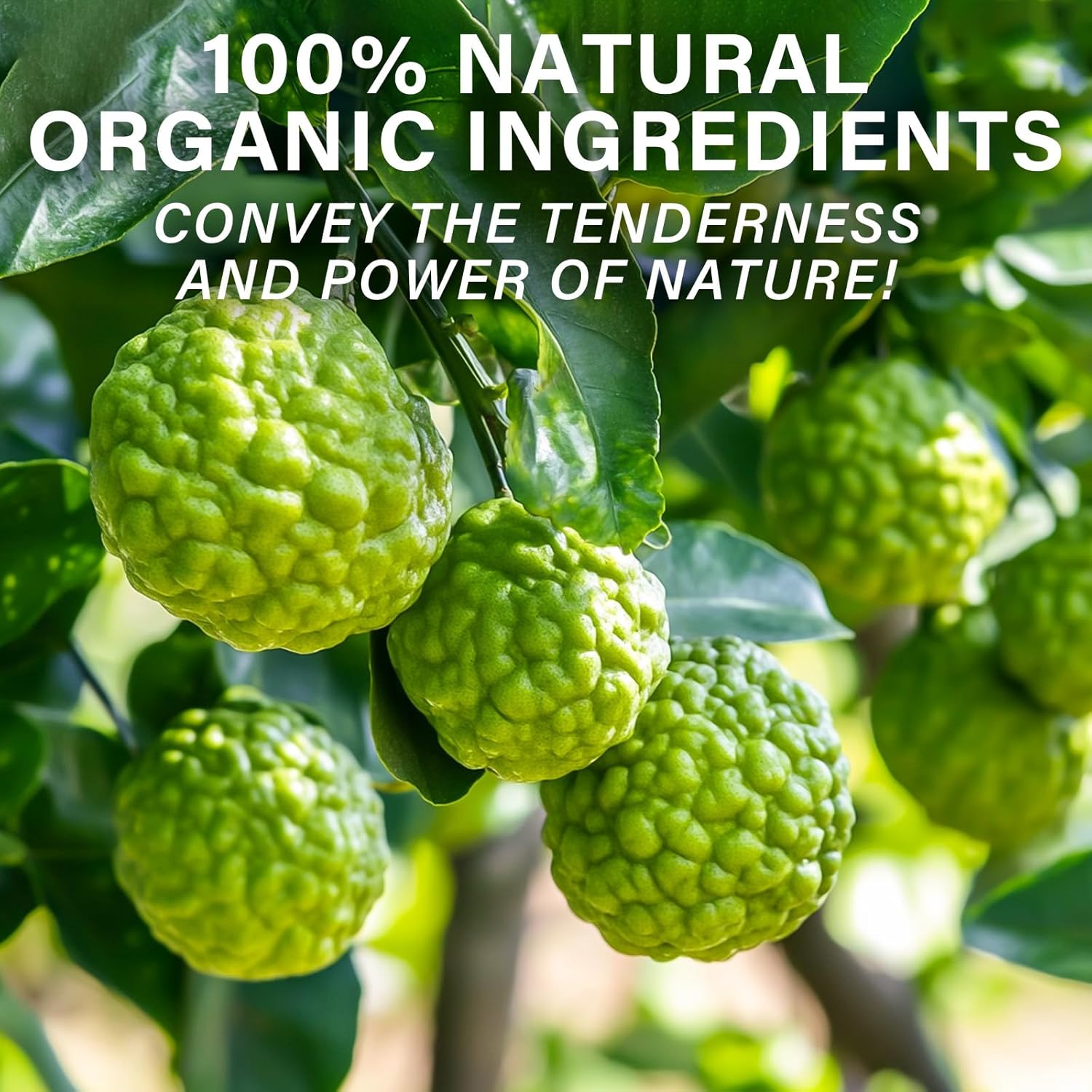 High Absorption Citrus Bergamot Liquid Drops 1000mg Supplement for Metabolic Health & Increased Circulation