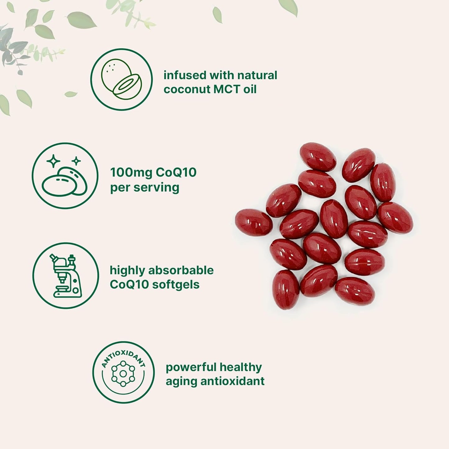 High Absorption CoQ10 Softgels with Coconut MCT Oil - 240 Count for Heart & Energy - Non-GMO Formula
