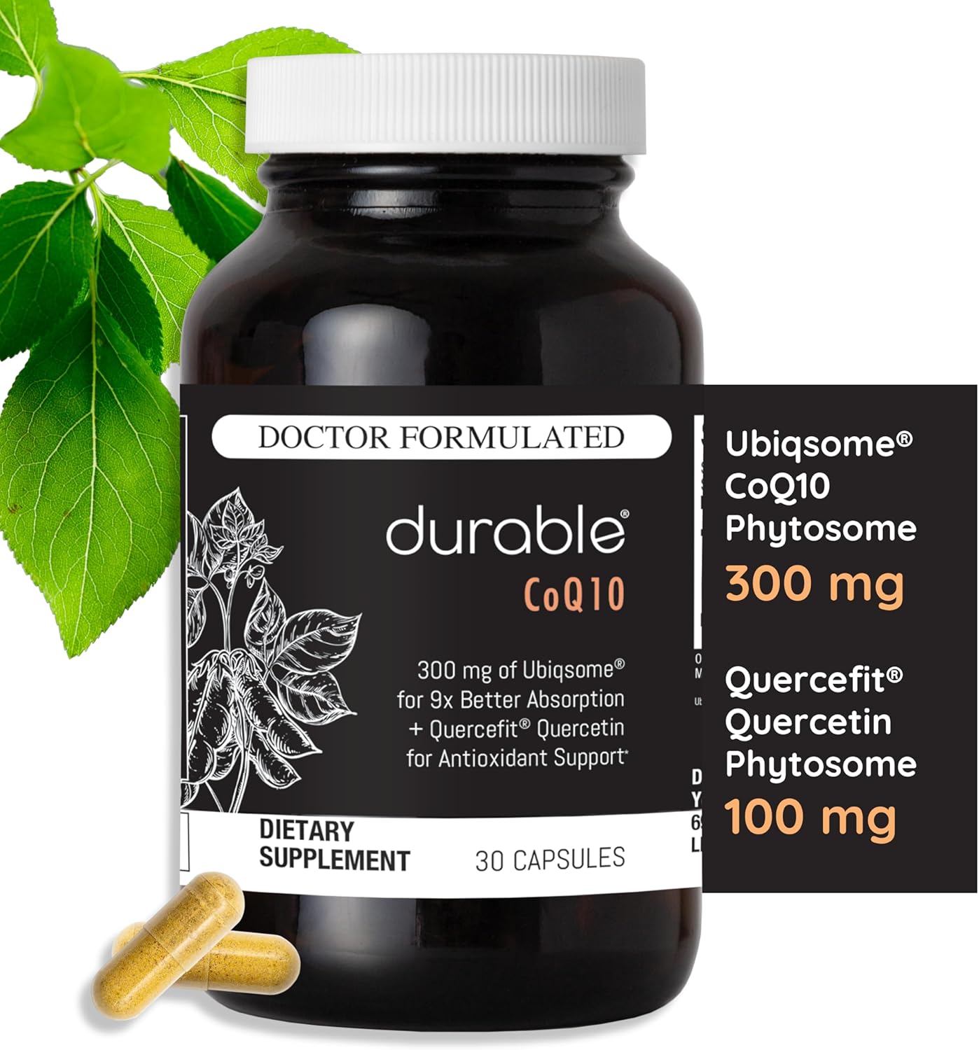 High Absorption CoQ10 Supplement for Heart Health - 300mg Ubiqsome® CoQ10 Phytosome, Antioxidant, Doctor-Formulated - 30 Day Supply