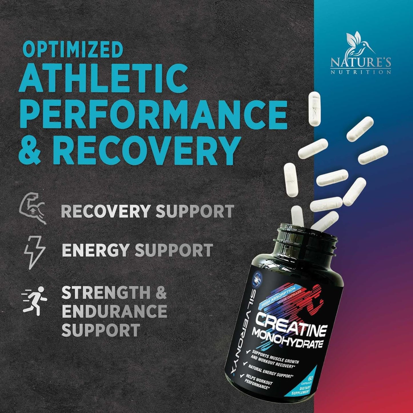 High Absorption Creatine Monohydrate Capsules for Strength & Muscle Growth - Gluten Free Supplement for Workout Performance - 60 Capsules