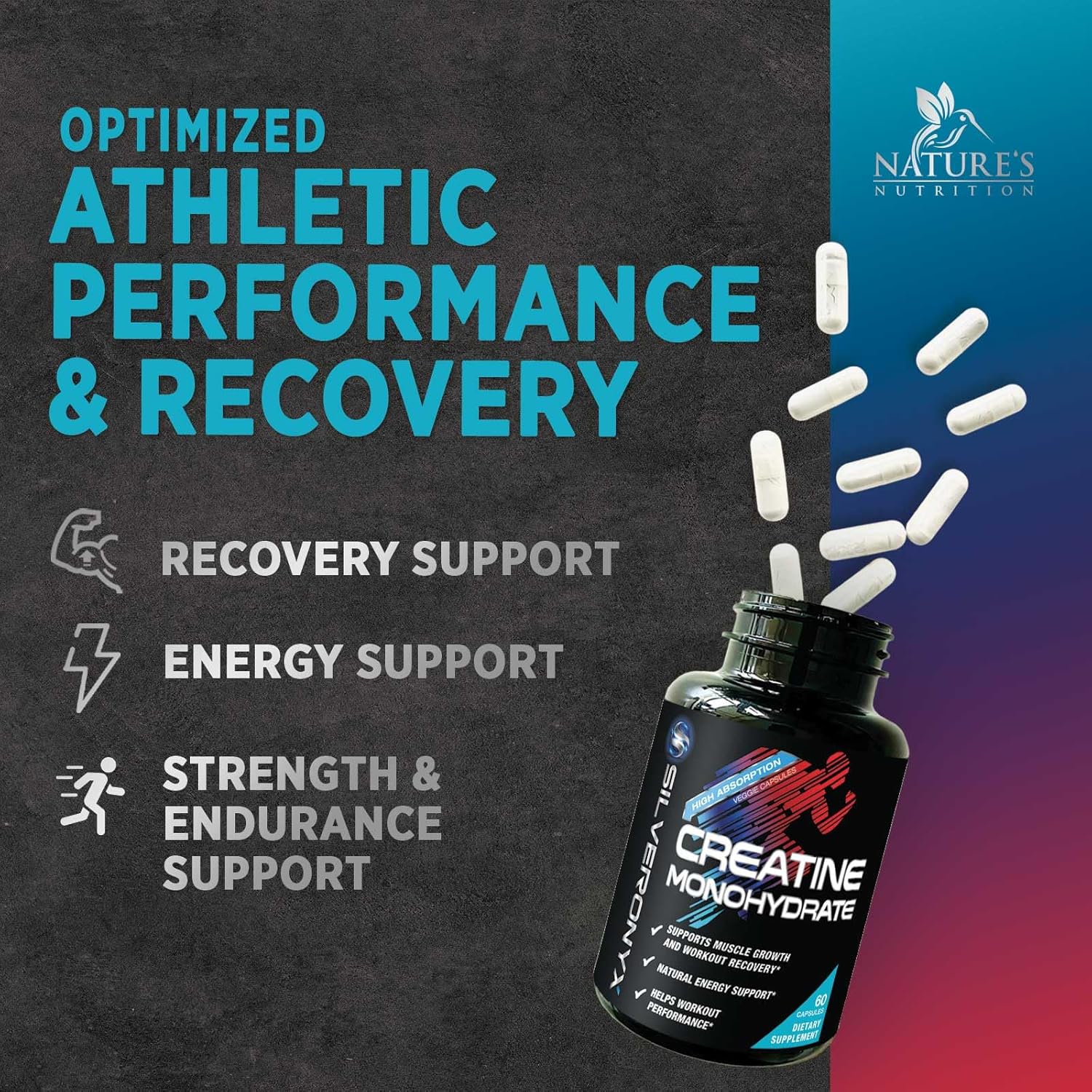 High Absorption Creatine Monohydrate Capsules for Strength & Muscle Growth - Gluten Free Supplement for Workout Performance - 60 Capsules