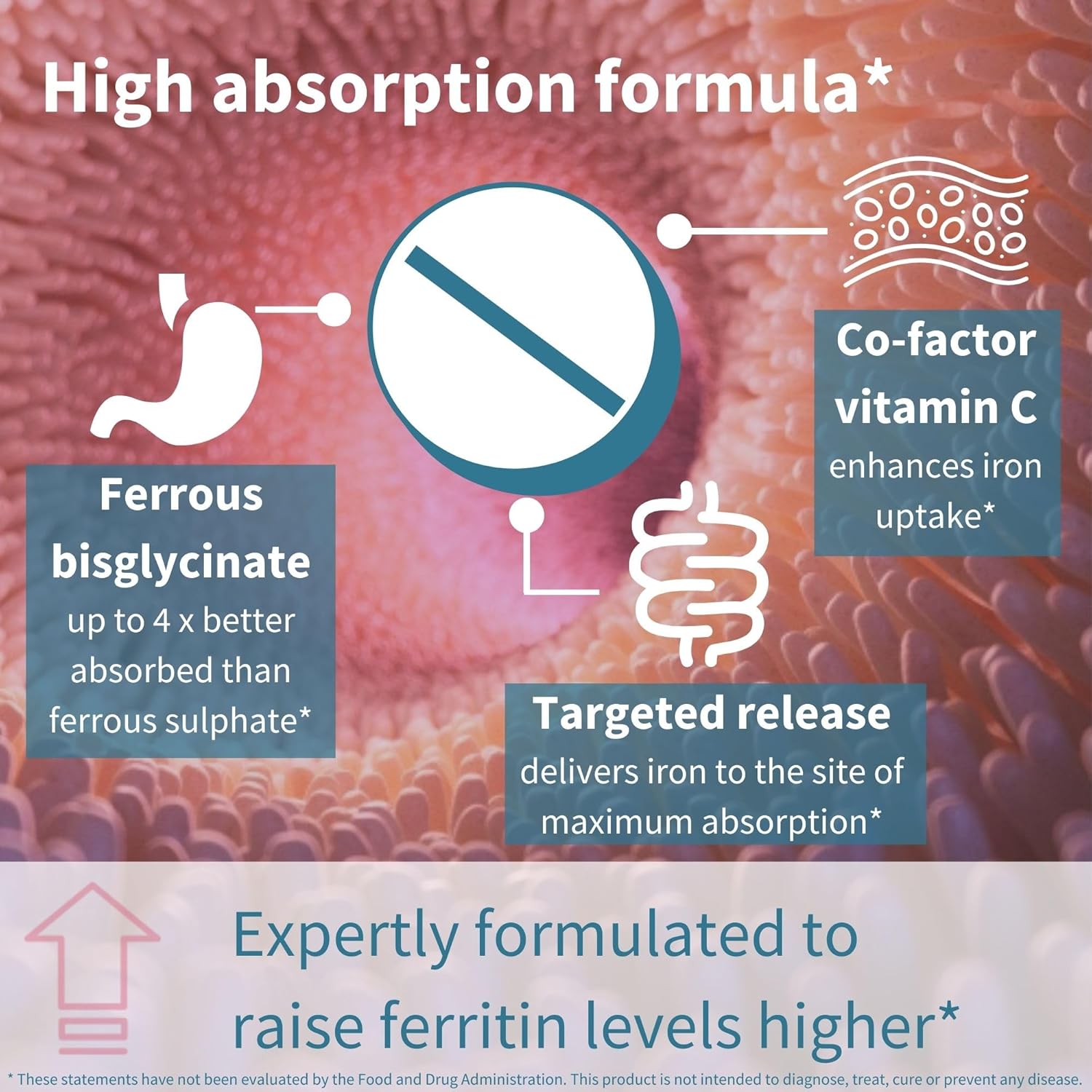 High Absorption Iron Bisglycinate with Vitamin C - Gentle Formula for Women & Men - 6 Month Supply - Vegan - 180 Tablets