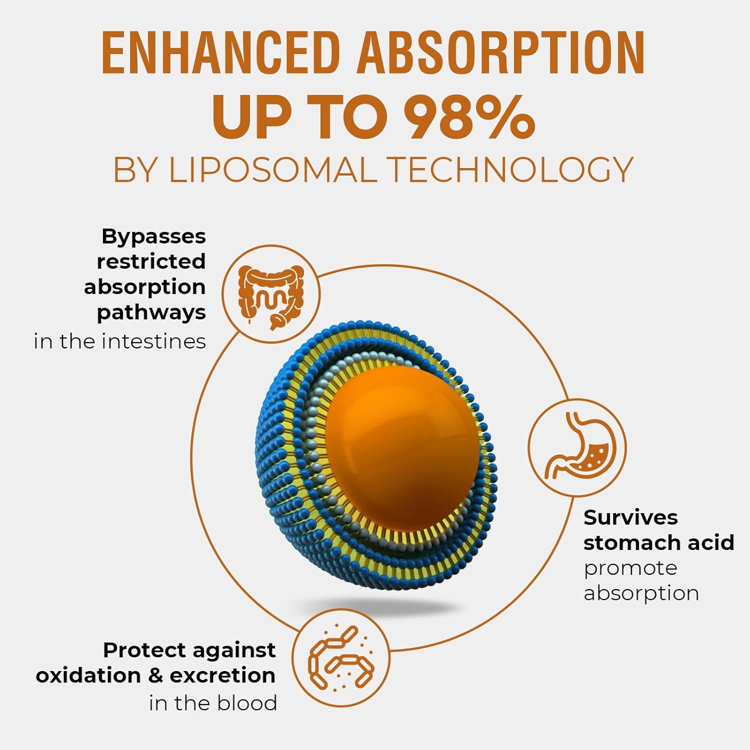 High Absorption Liposomal Rhodiola Rosea Root Extract Tincture Supplement - 57,000 MG Liquid for Energy, Stress, Mood - Vegan - 60 ml