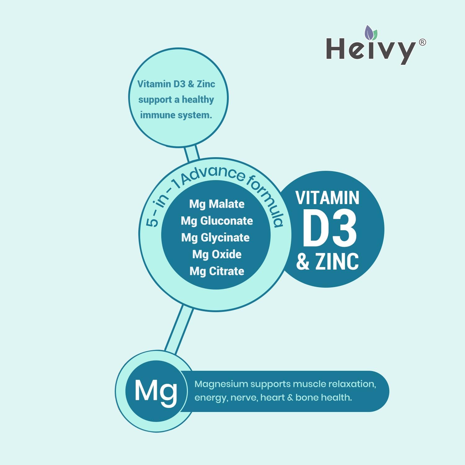High Absorption Magnesium Complex with Zinc and Vitamin D3 for Muscle, Nerve, Heart, and Bone Support - 90 Tablets
