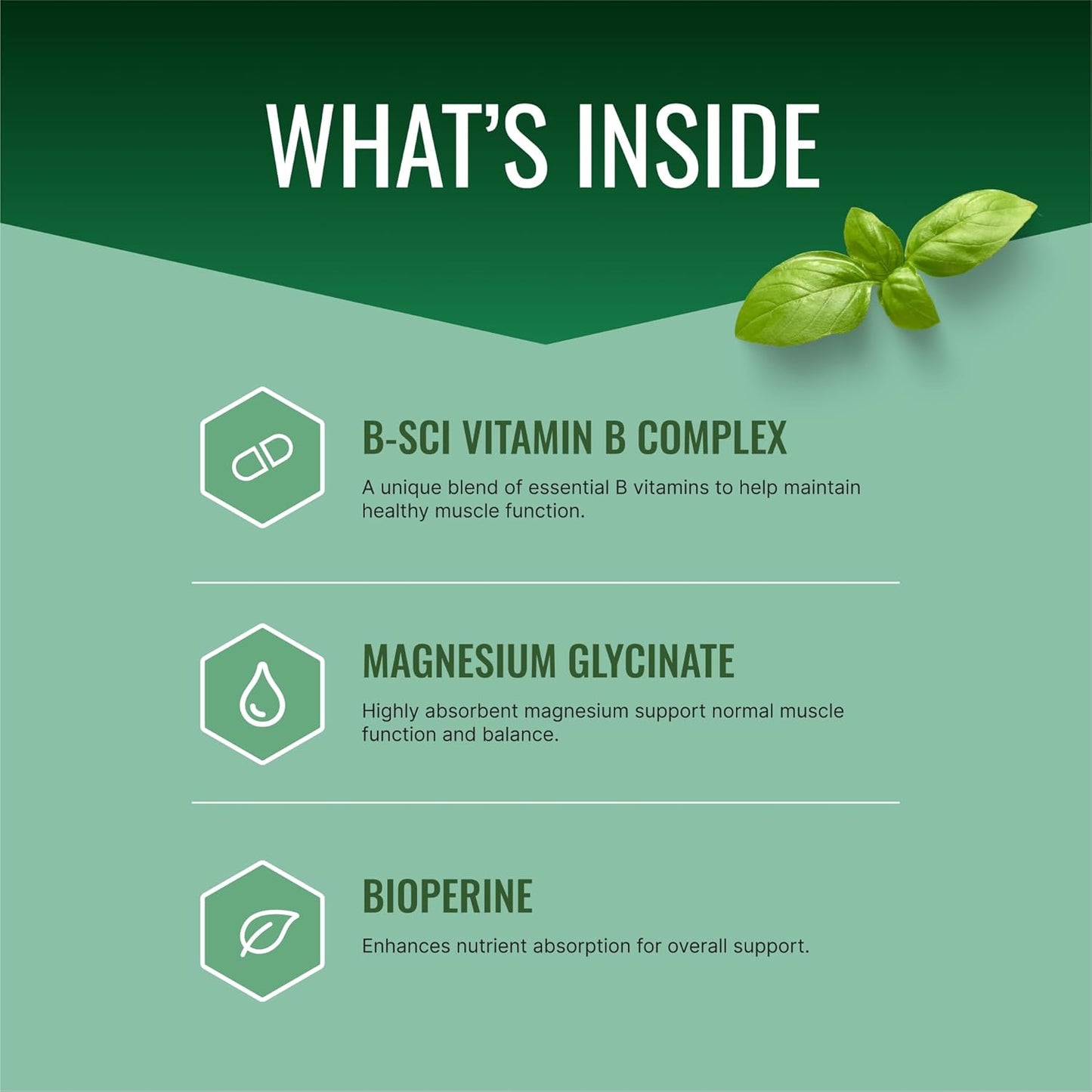 High Absorption Magnesium with Vitamin B Complex and BioPerine - Vegan Capsules - 1 Month Supply