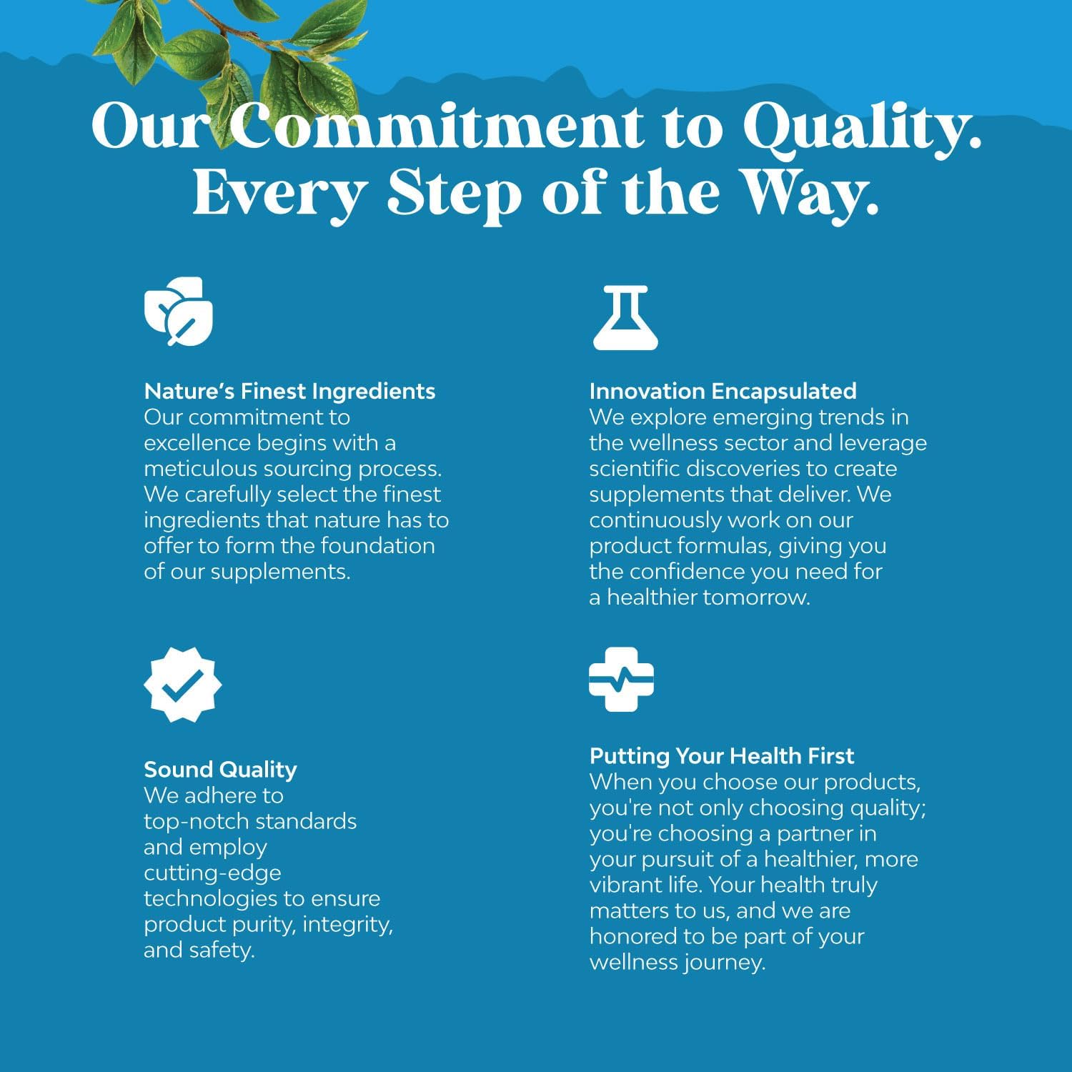 High Absorption NAC 600mg Capsules - Natures Craft N-Acetyl Cysteine Supplement for Liver Detox, Kidney Support, Lung Health, Immunity, & Brain Health