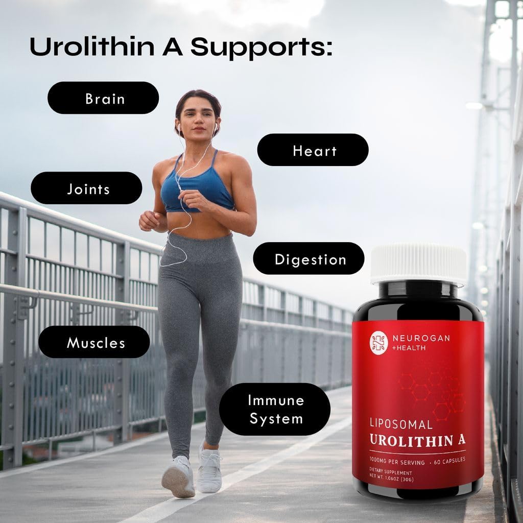 High Absorption Neurogan Liposomal Urolithin A Capsules for Cellular Regeneration, Energy & Muscle Recovery - 60 Capsules, 1000mg