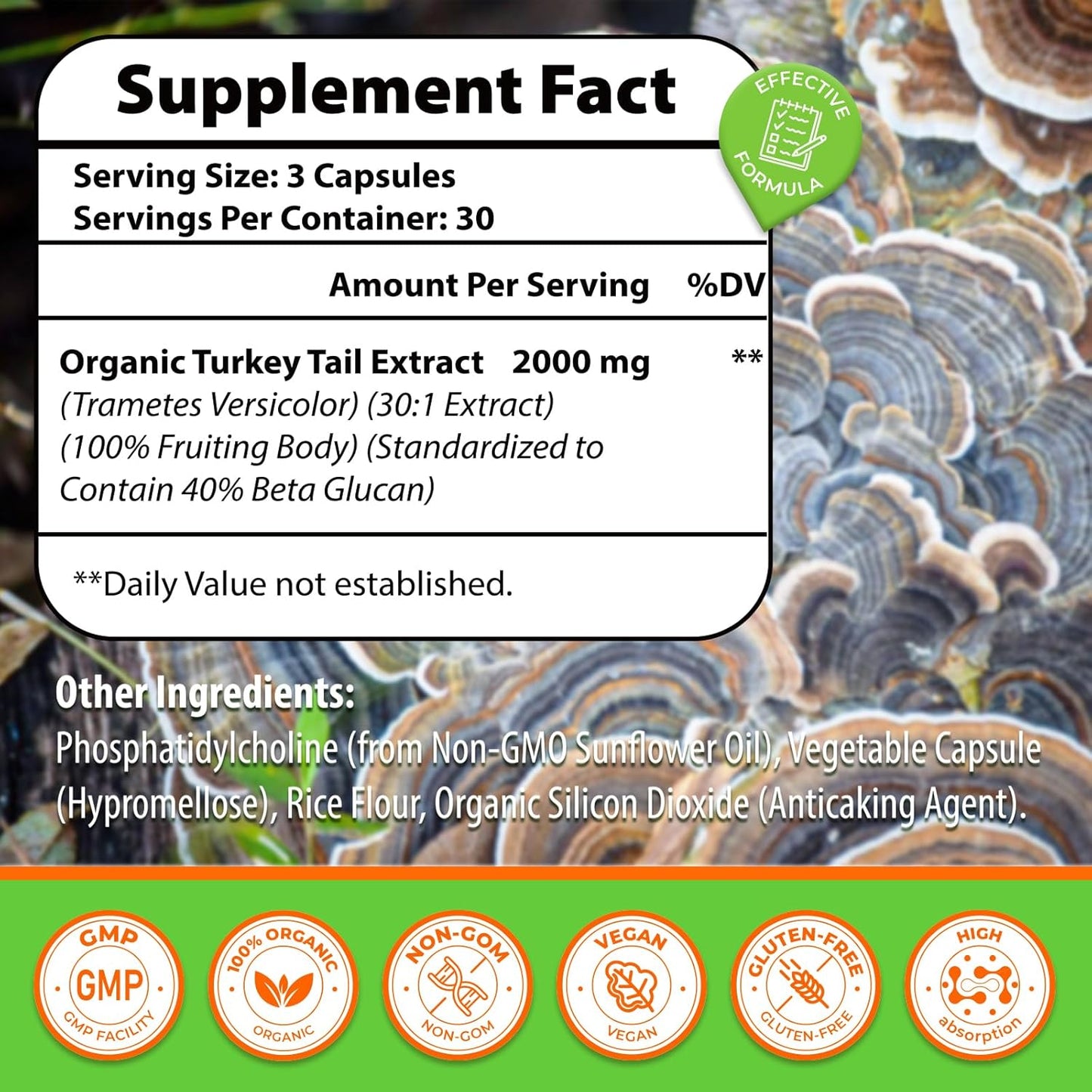 High Absorption Organic Turkey Tail Mushroom Extract Capsules 2000MG - Immune Support & Digestive Health Supplement - 90 Capsules - Non-GMO