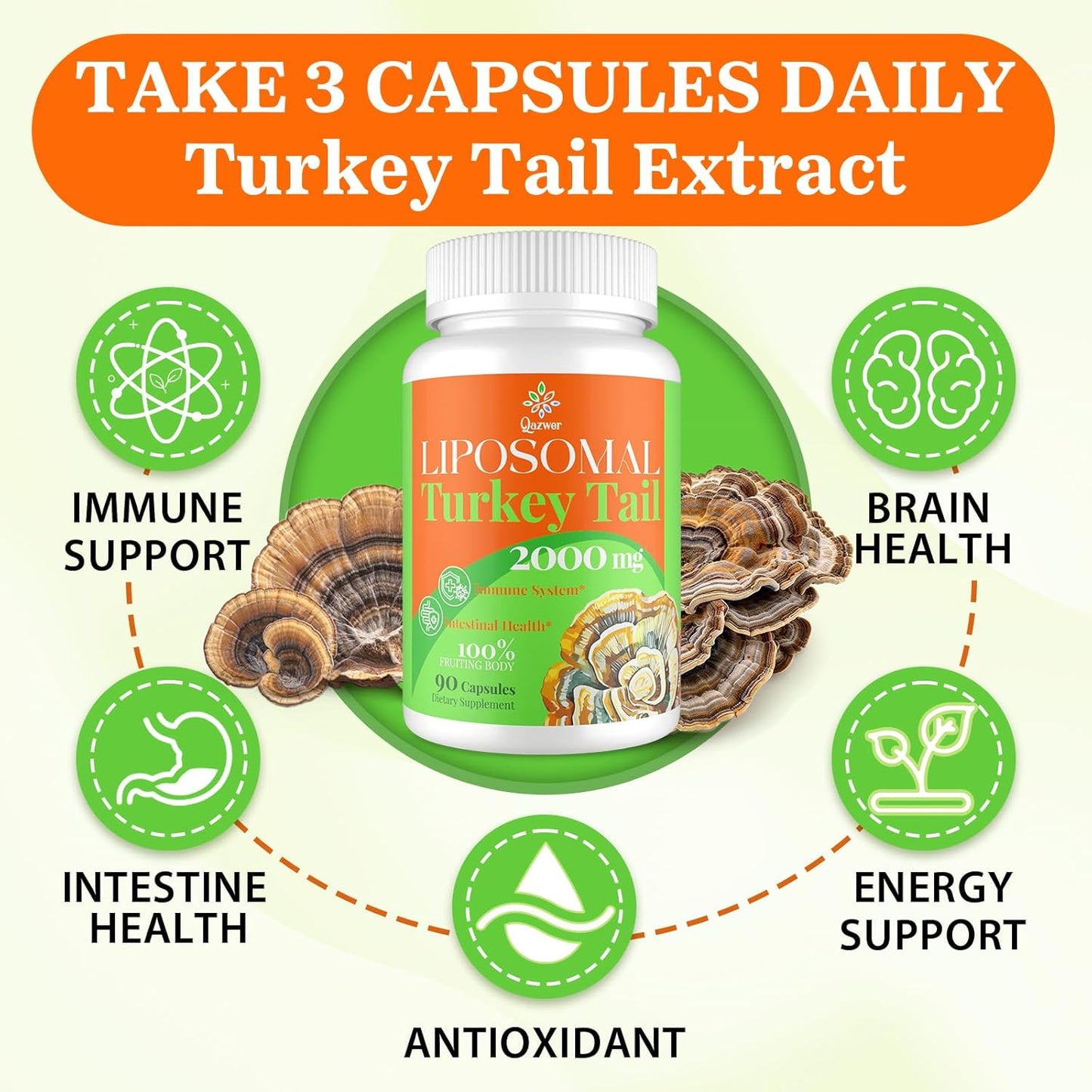 High Absorption Organic Turkey Tail Mushroom Extract Capsules 2000MG - Immune Support & Digestive Health Supplement - 90 Capsules - Non-GMO