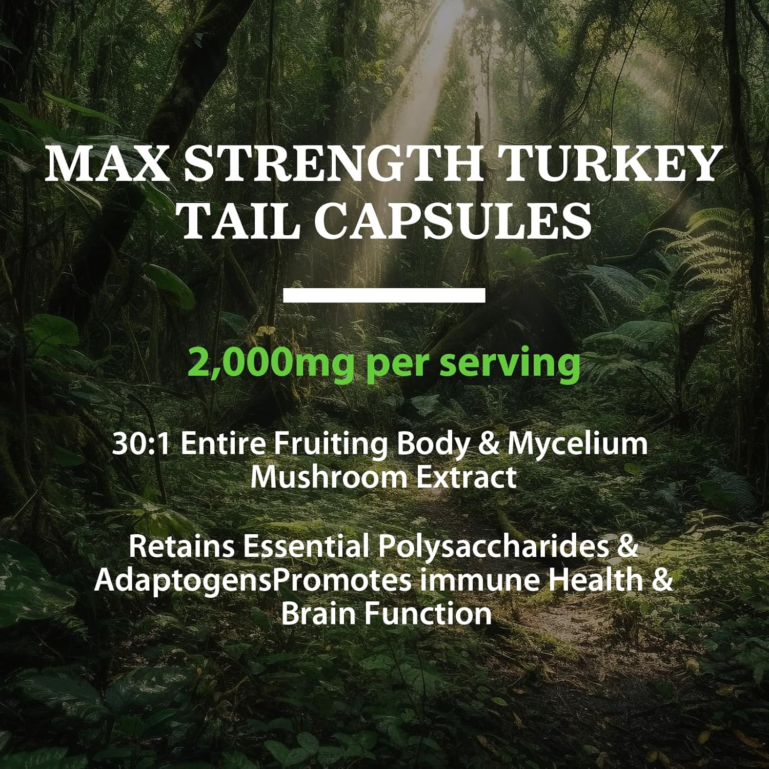High Absorption Organic Turkey Tail Mushroom Extract Capsules 2000MG - Immune Support & Digestive Health Supplement - 90 Capsules - Non-GMO