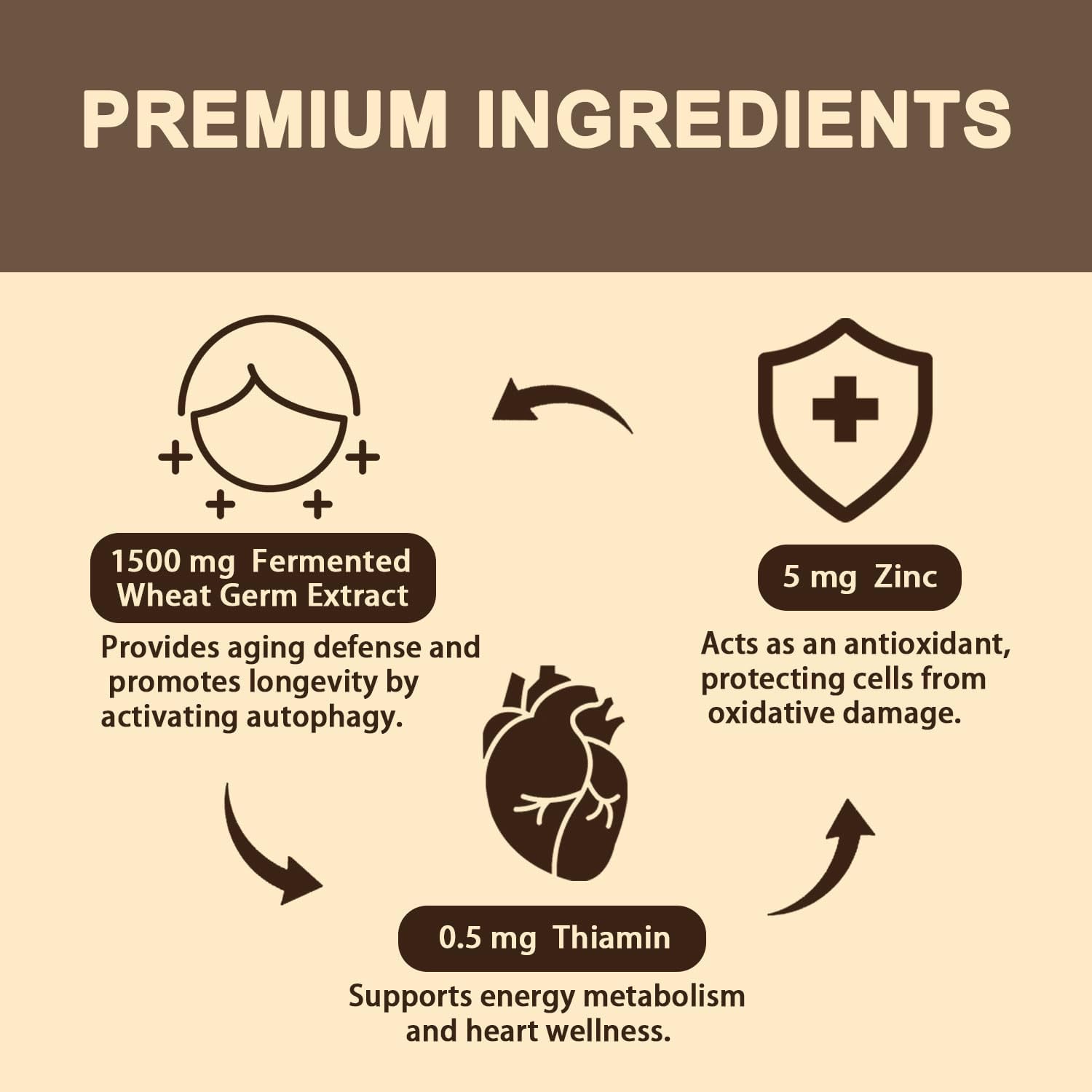 High Absorption Spermidine Supplement with Zinc & Thiamin - Cellular Renewal & Energy Boost - 240 Softgels
