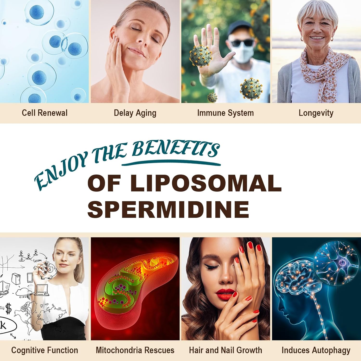 High Absorption Spermidine Supplement with Zinc & Thiamin - Cellular Renewal & Energy Boost - 240 Softgels
