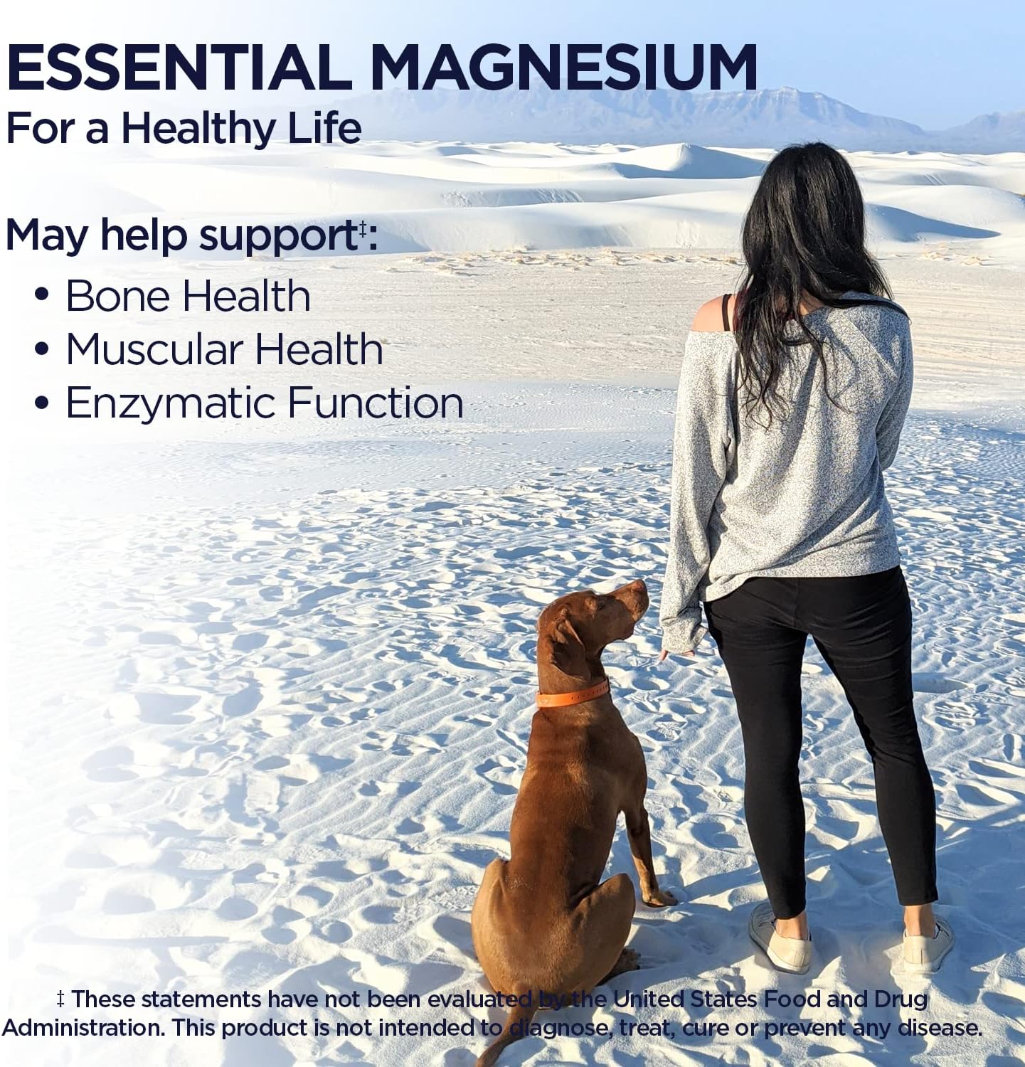 High Absorption Vegan Magnesium Glycinate Tablets with Bisglycinate Chelate for Nerve, Muscle & Bone Health - 240 Tablets