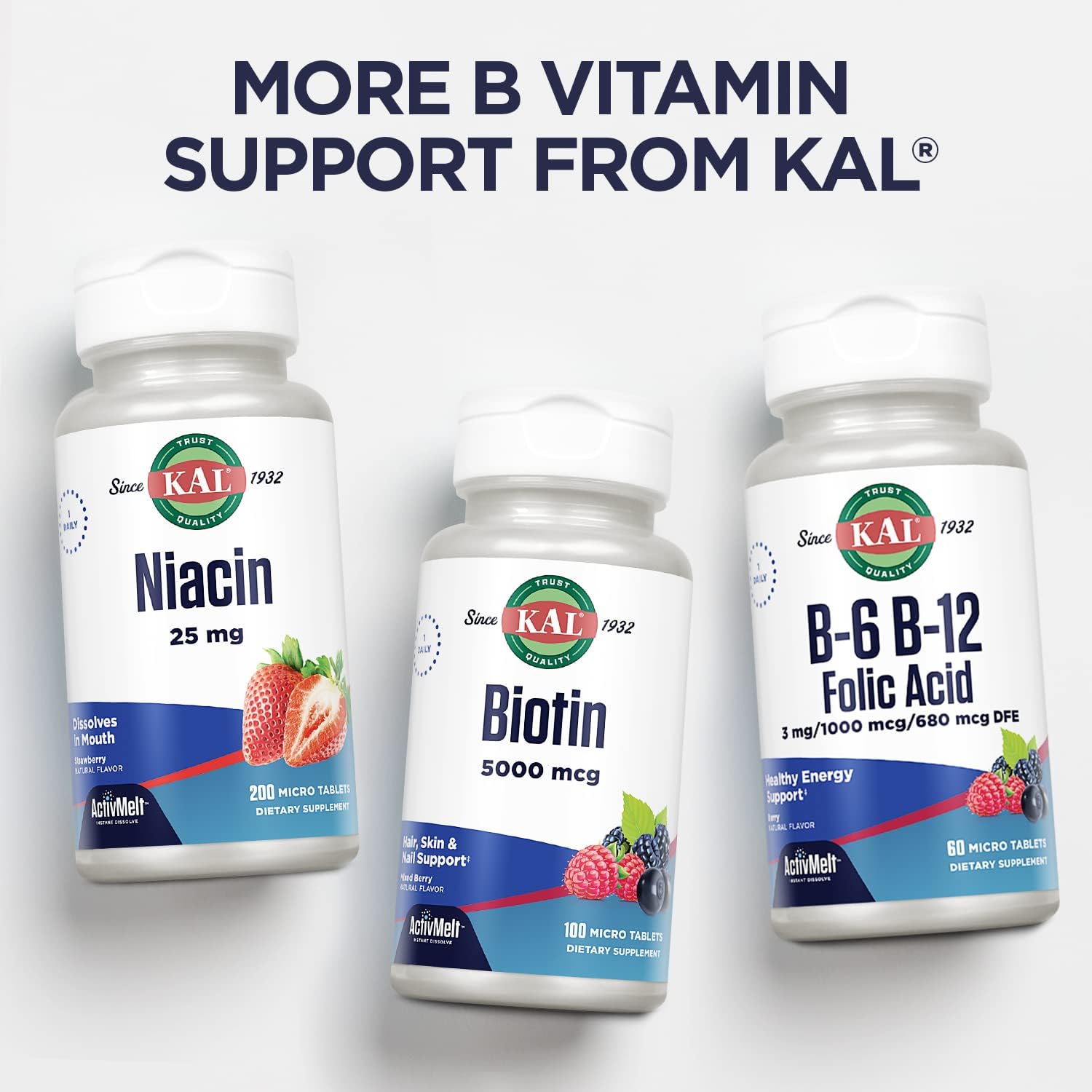 High Absorption Vitamin B12 1000 mcg ActivMelt Tablets for Energy, Metabolism, Nerve & Red Blood Cell Support - 90 Servings