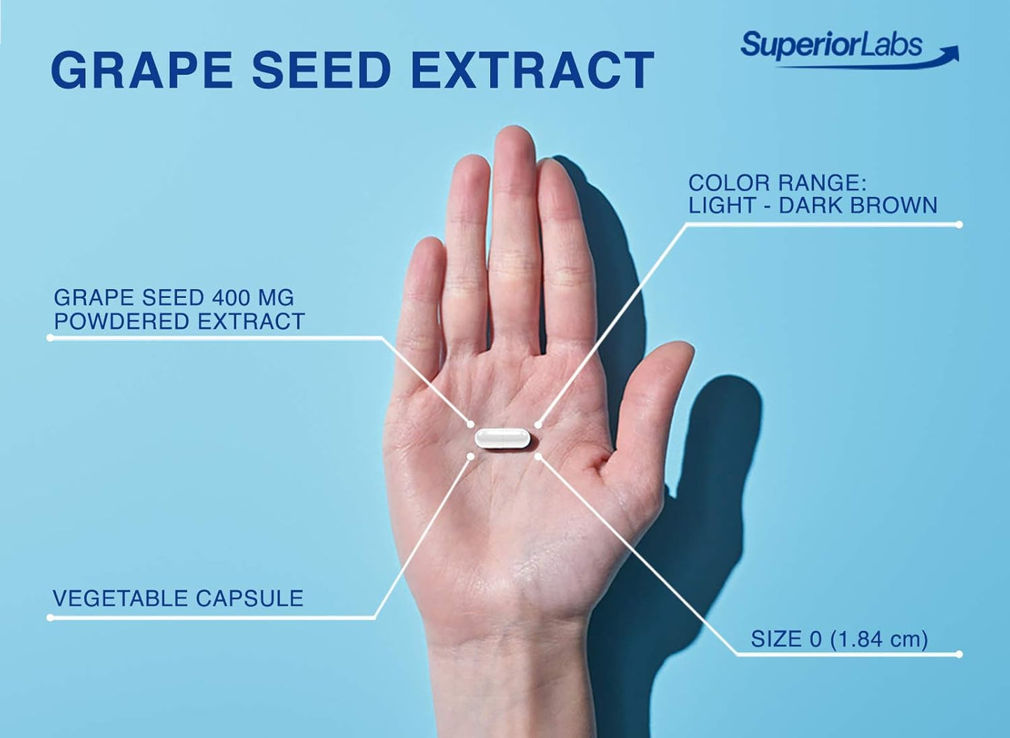 High Antioxidant Grape Seed Extract Capsules for Cardiovascular and Brain Health - 95% Polyphenols, 400mg - Immune System Support - 120 Vegetable Capsules
